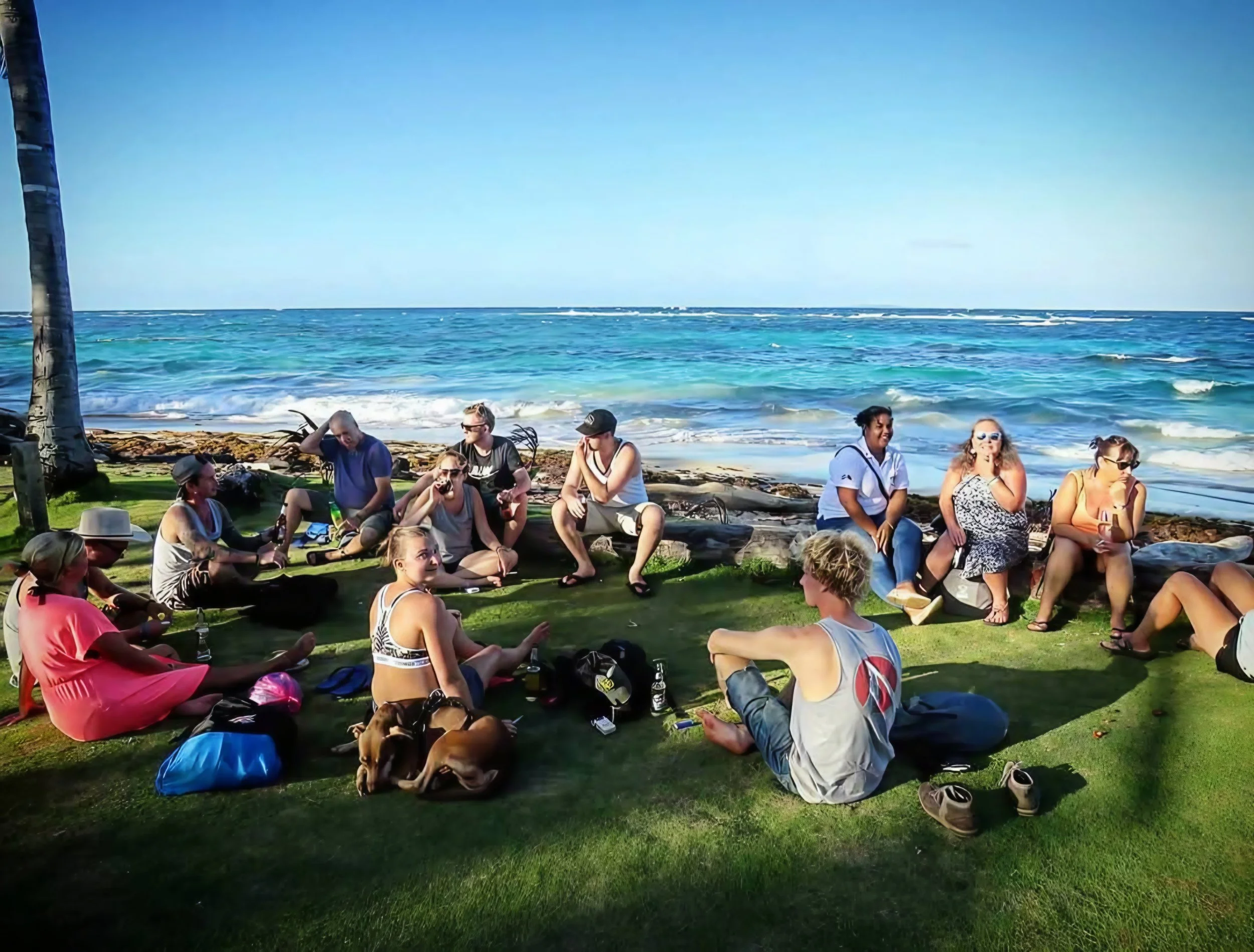 A group of people sitting on the grass and logs near the shoreline of the ocean, with some at the beach and others in relaxed poses, under a clear blue sky.
