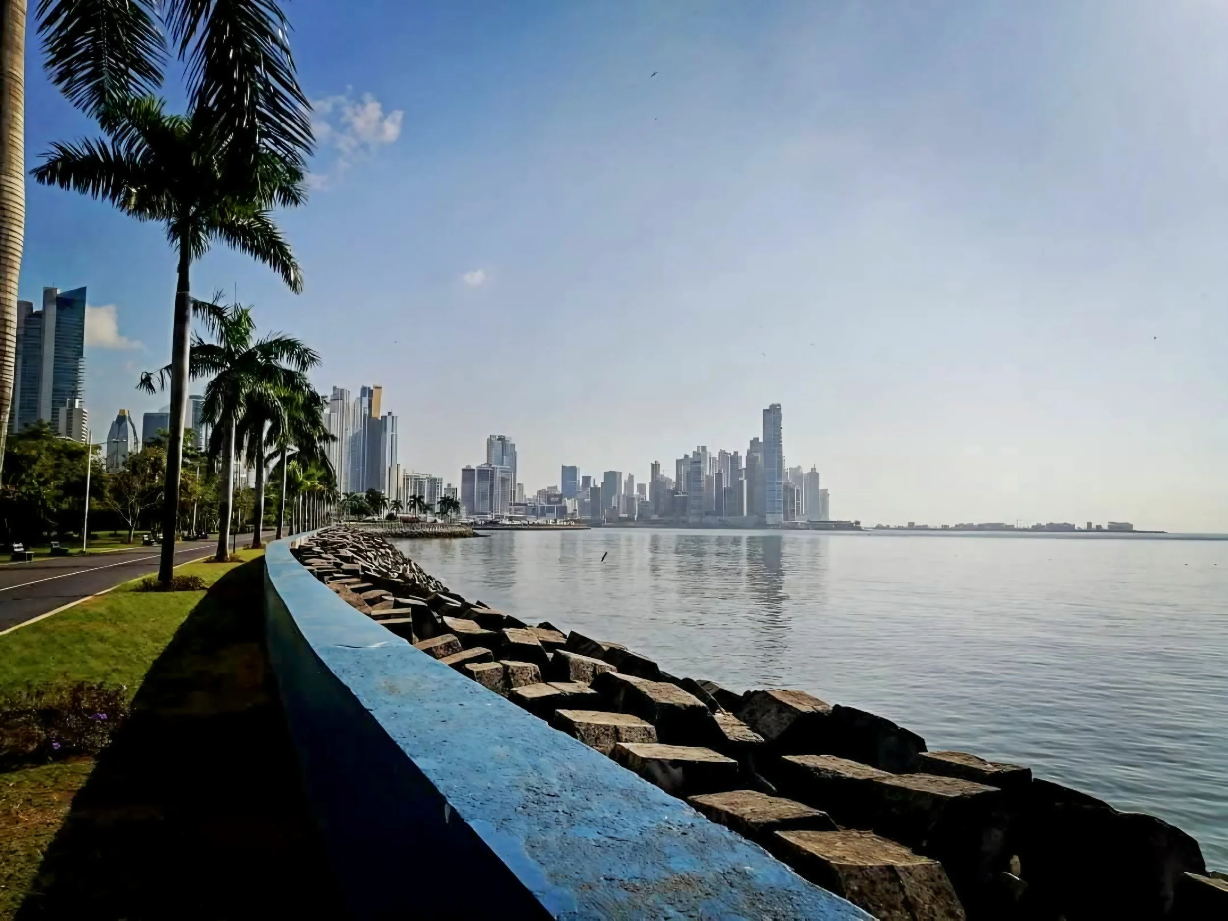 City skyline with tall modern buildings seen across a body of water, with a clear sky above and some clouds, a waterfront promenade with palm trees and a blue-painted wall along the shore.