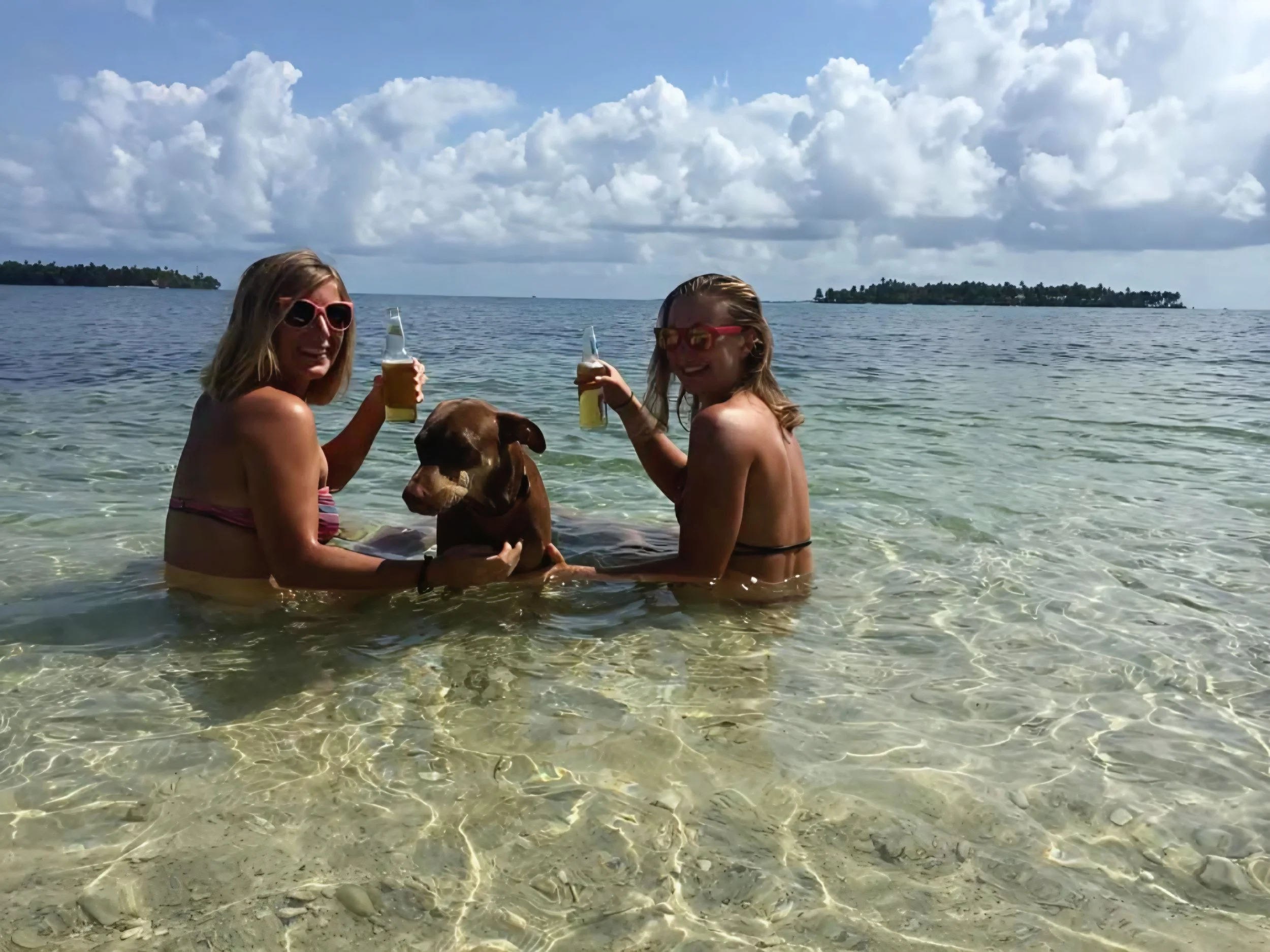 Two women and a dog in shallow ocean water with an island in the background and a cloudy sky.
