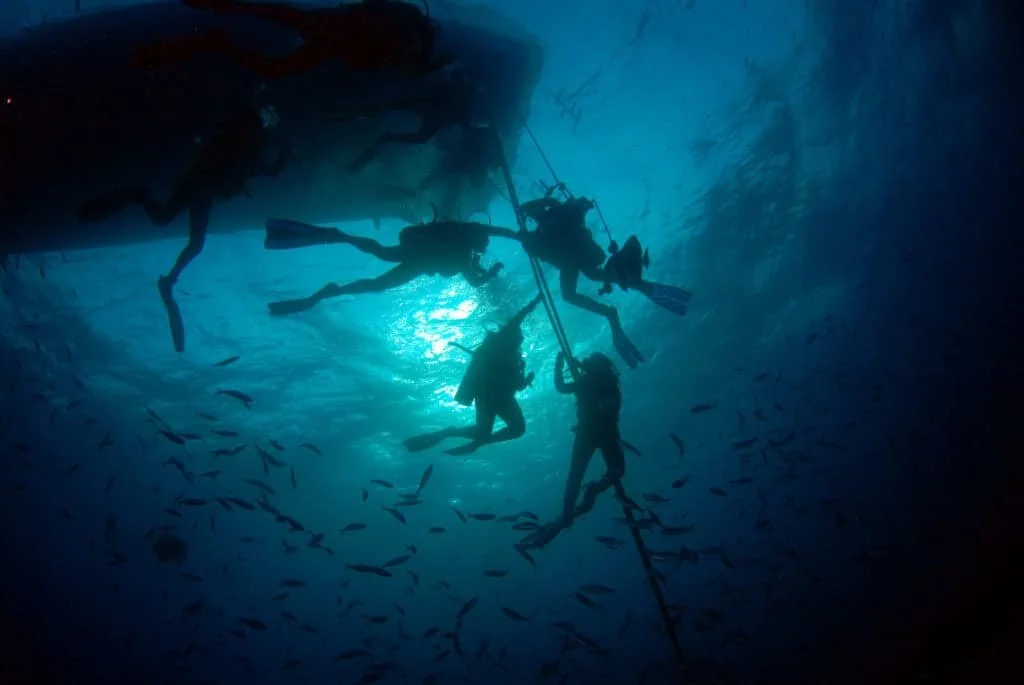 Savage Travel Co group scuba diving excursion with divers swimming underwater near a dive boat surrounded by fish.
