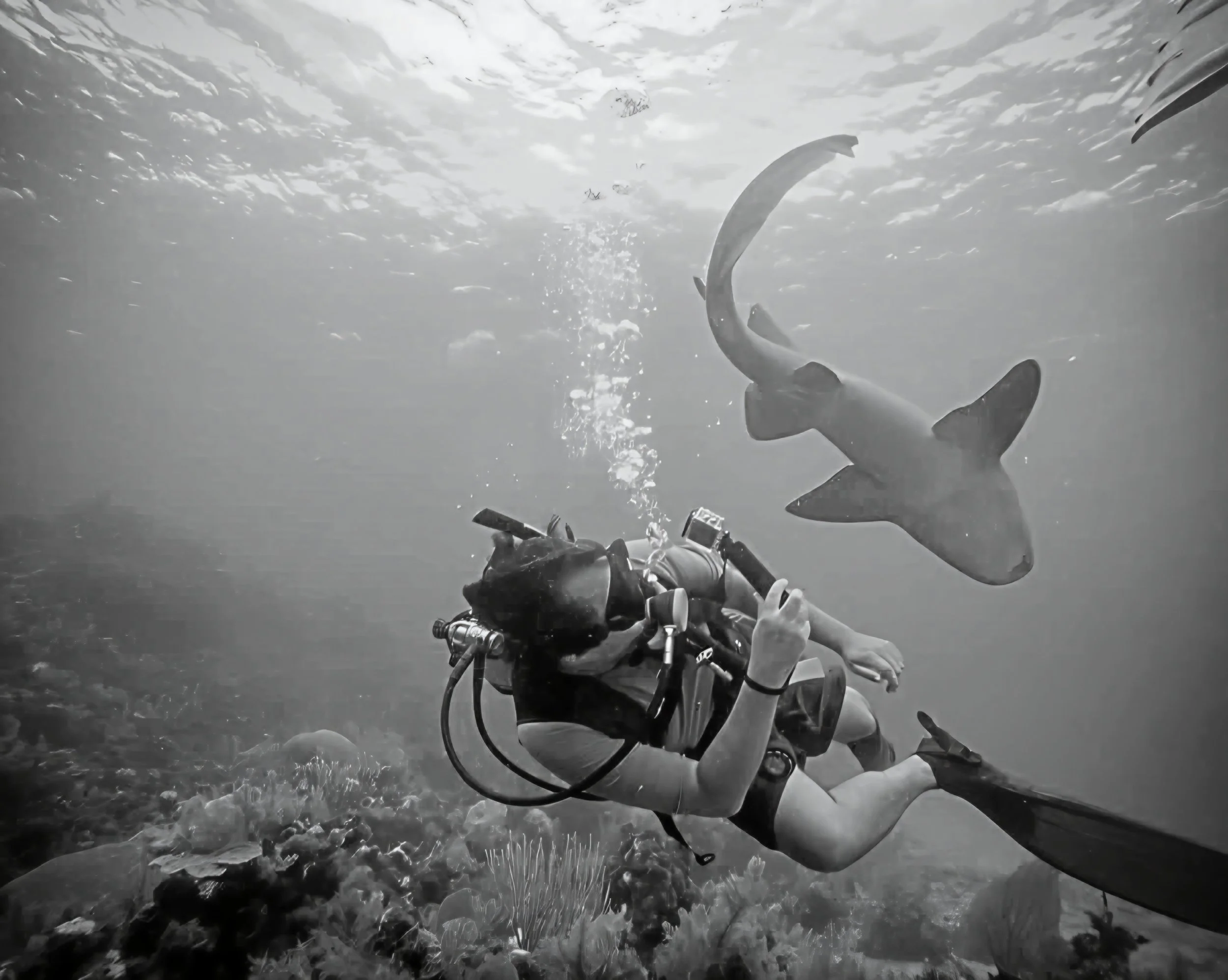 A person scuba diving underwater with fish swimming nearby.
