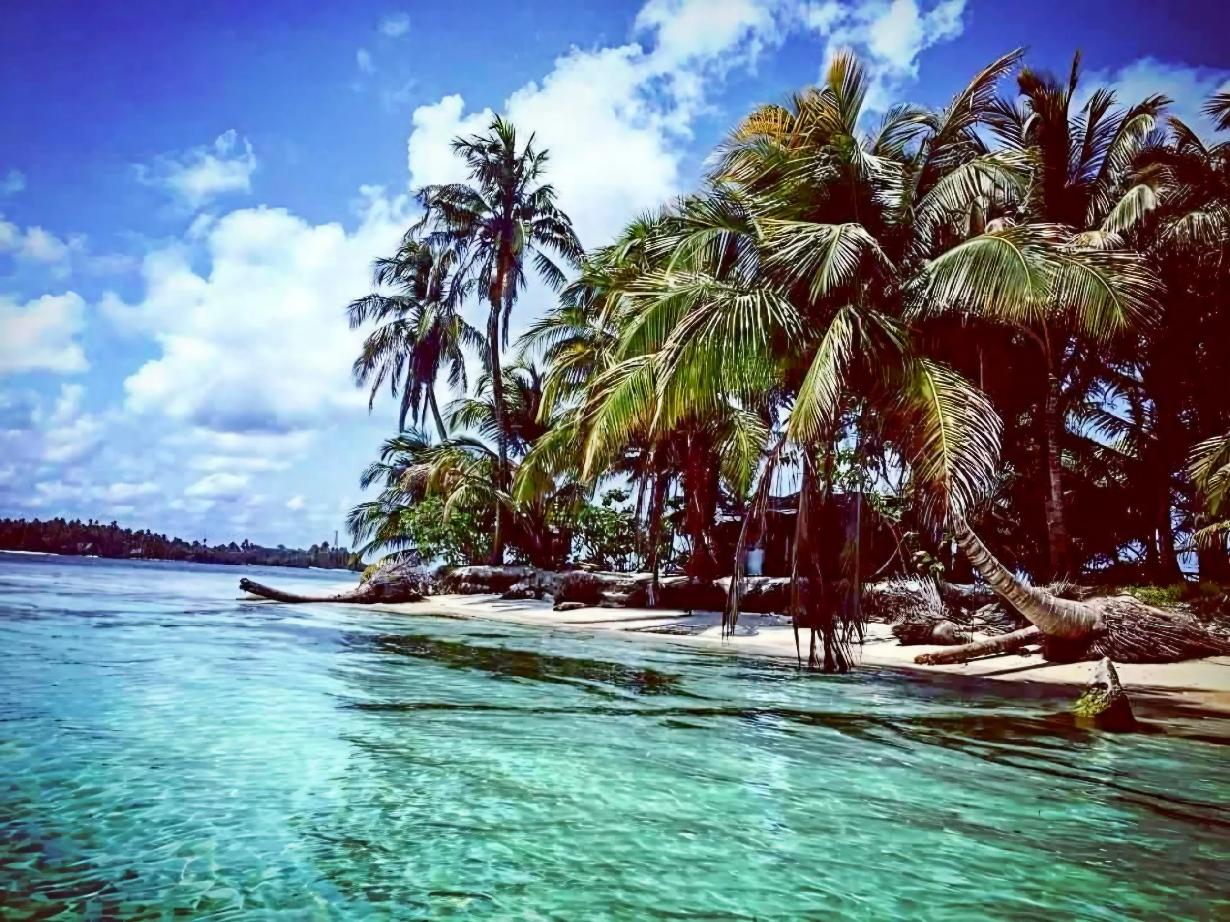Tropical beach with palm trees, clear water, and blue sky with scattered clouds.