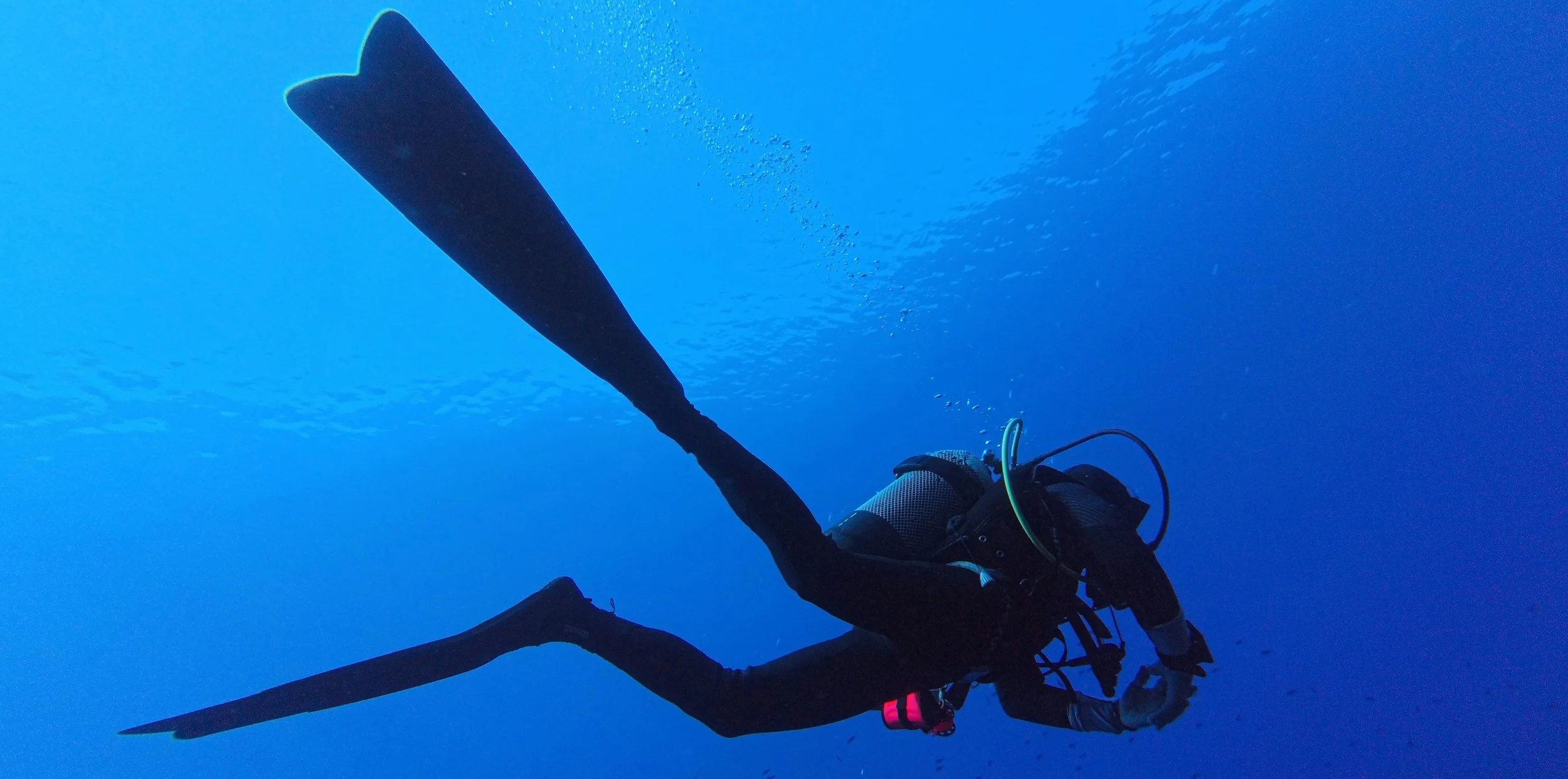 A scuba diver underwater with a large spear gun, wearing a wetsuit, mask, and regulator, against a blue ocean background.