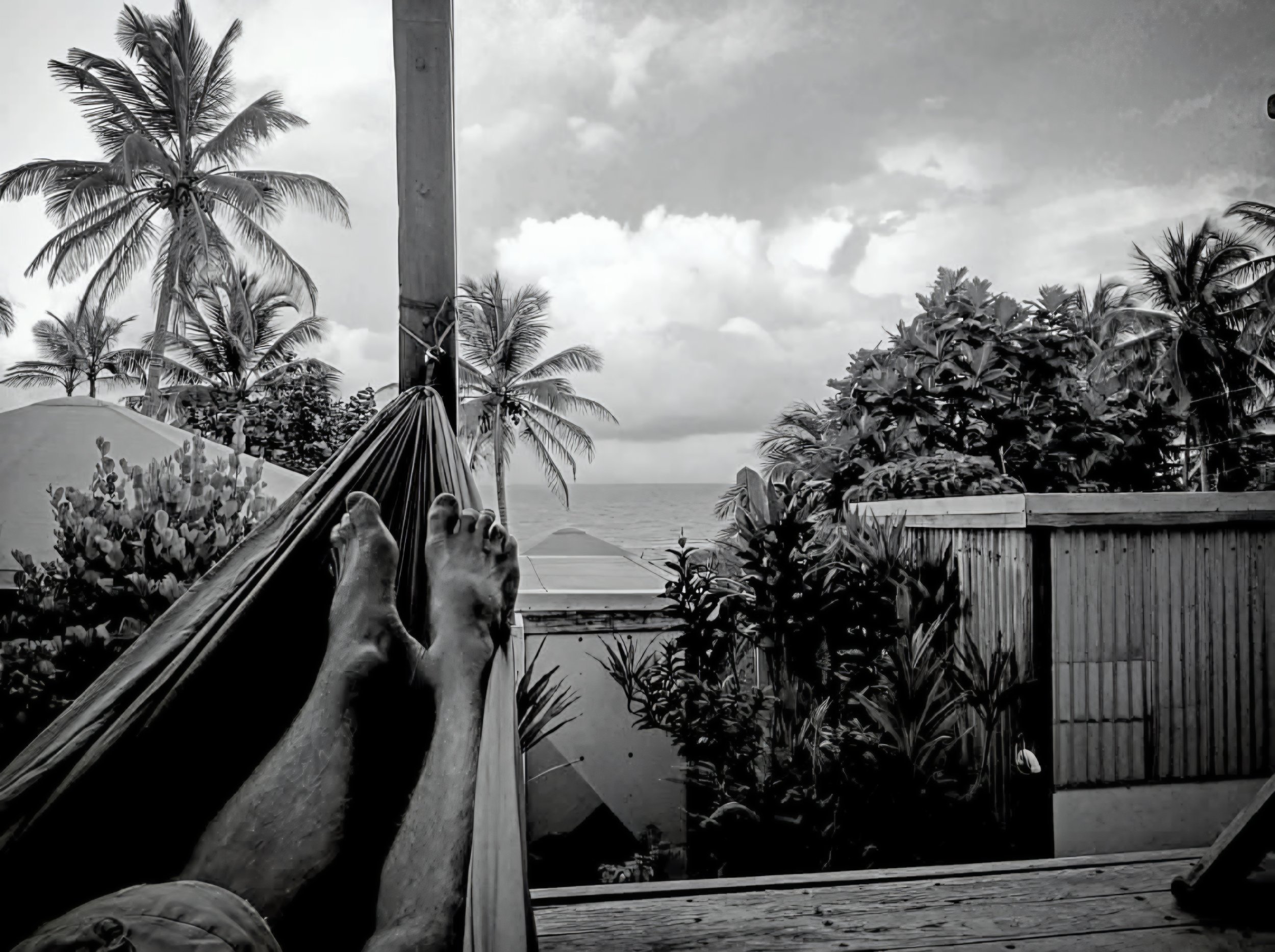 Person lying in a hammock on a beach, with a view of palm trees and the ocean, under a cloudy sky.