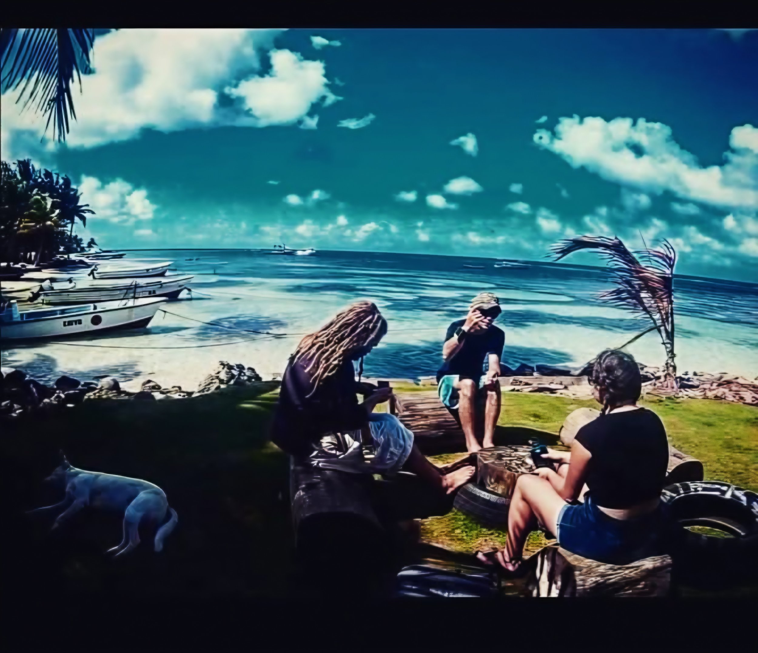 People sitting on the grass near the beach, with boats anchored in the water and palm trees, under a partly cloudy sky.