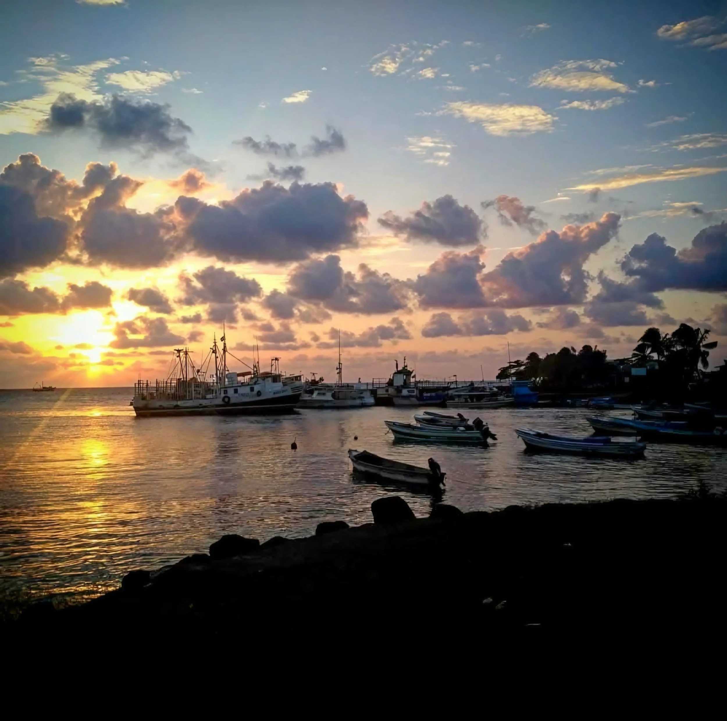 Sunset over a marina with boats docked, clouds in the sky, and silhouettes of trees and boats in the foreground.