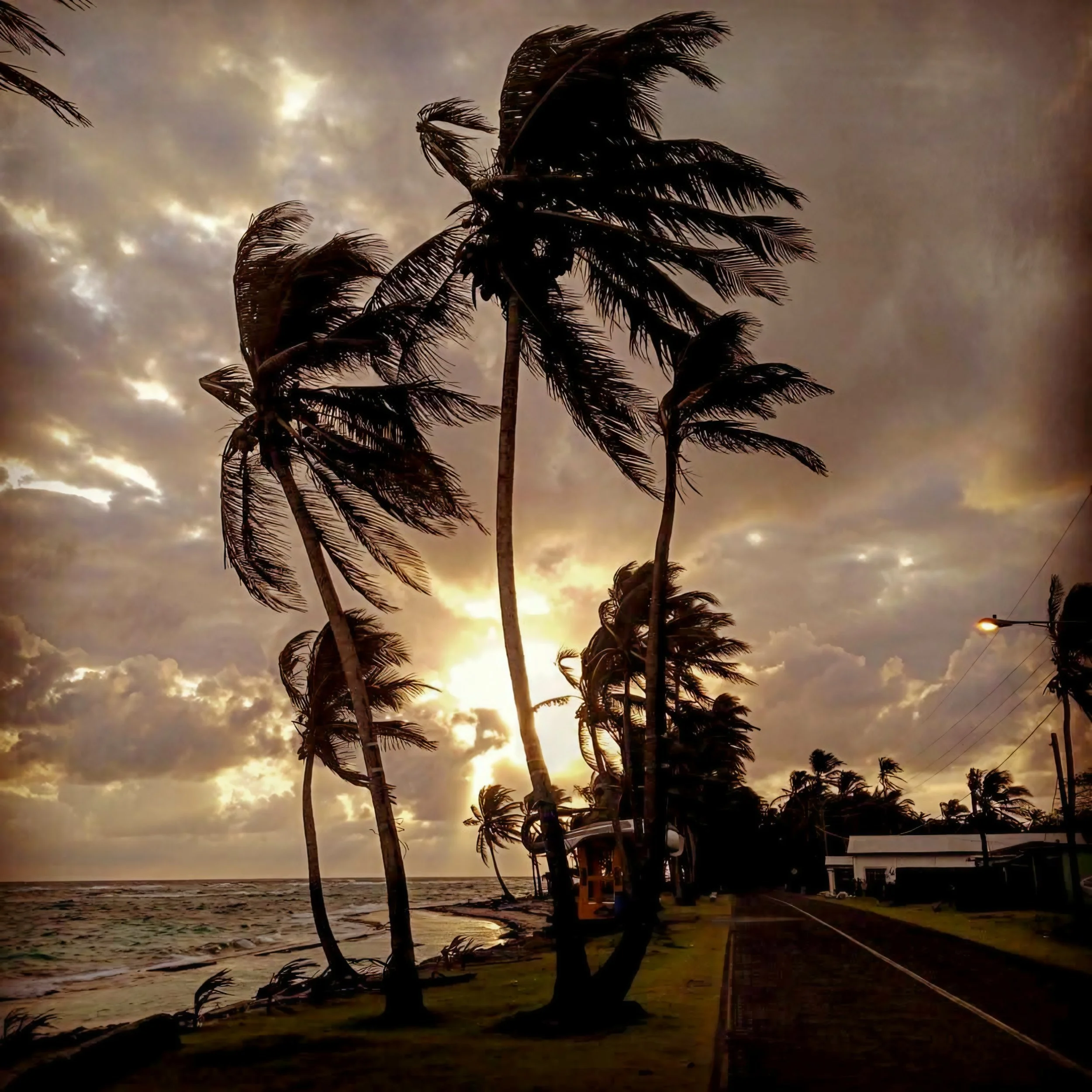 Palm trees silhouette against a cloudy sunset sky near the beach with a small building and street light.