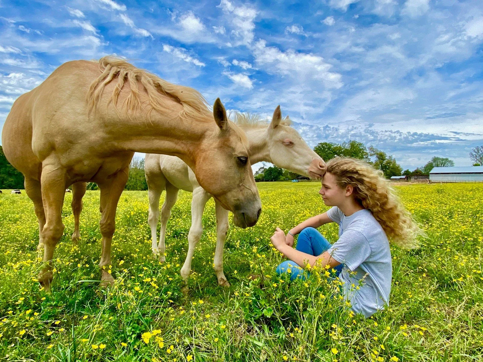 Two horses greeting a guest in a wildflower pasture at Seventy-Four Ranch
