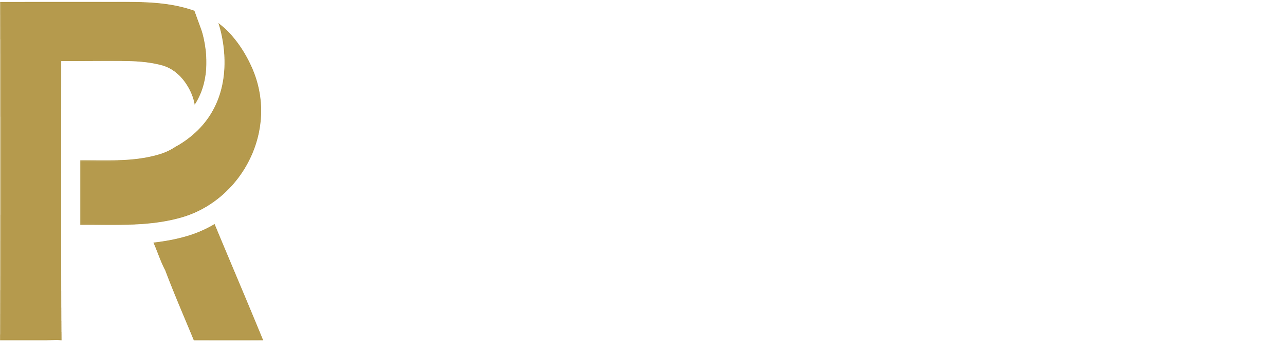 Logo for Primary Realty featuring a stylized gold letter 'P' and the company name in white and gold text.