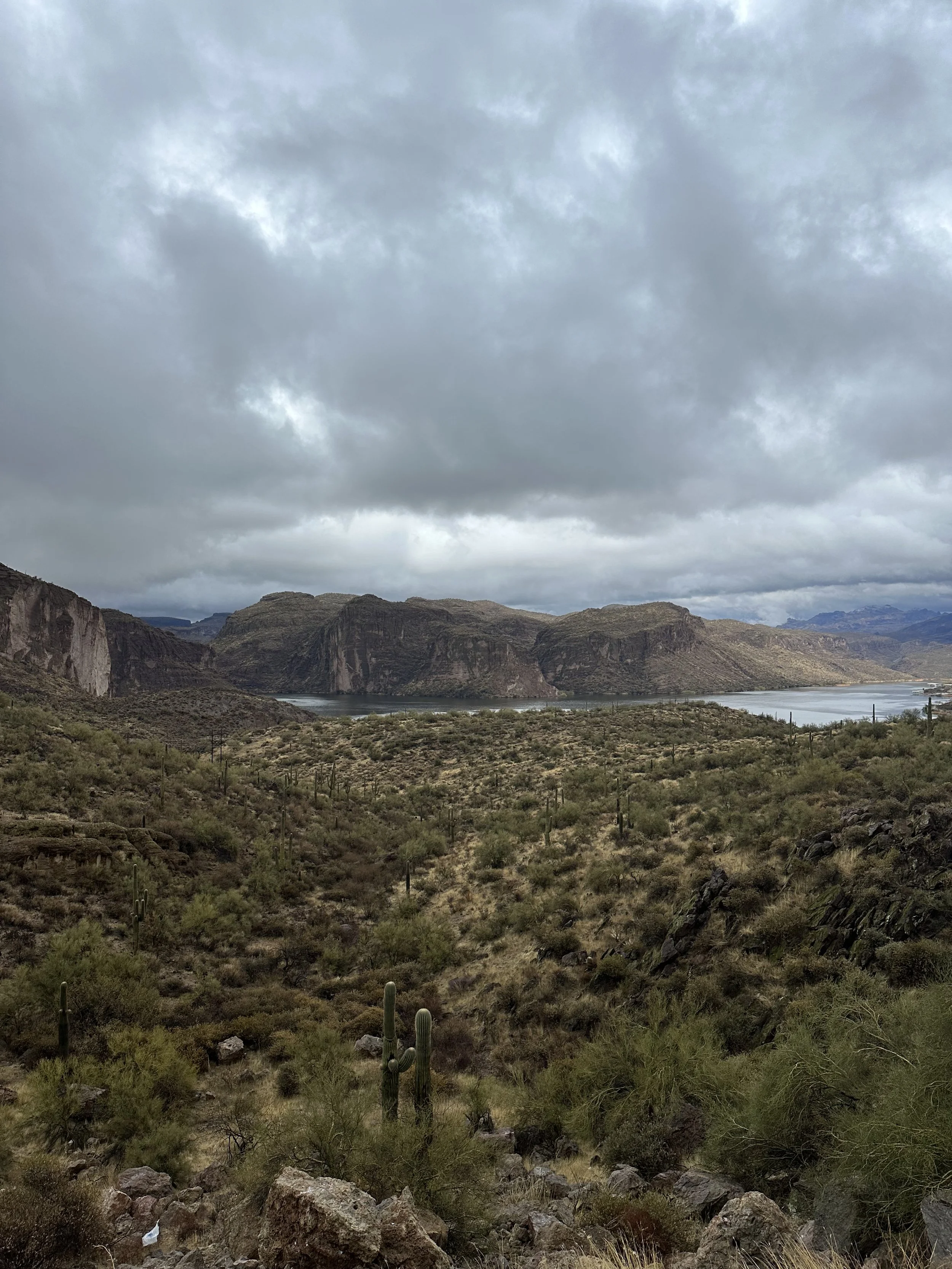 A cloudy day over a desert landscape with cacti, rocky terrain, and distant mountains.