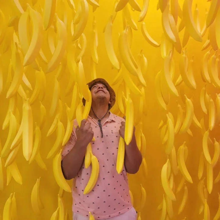 Person standing amidst hanging yellow bananas in an indoor display, smiling and looking upward.