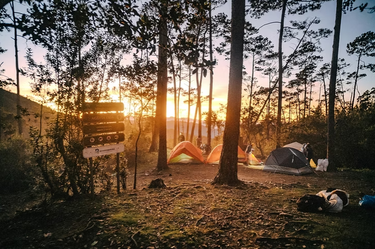 Camp, Travel, and New Experiences: Preparing Anxious Teens for Summer Adventures