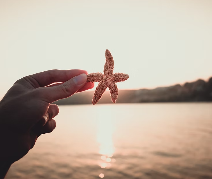 Heat, Hormones, and Mood: How Summer Weather Affects Mental Health