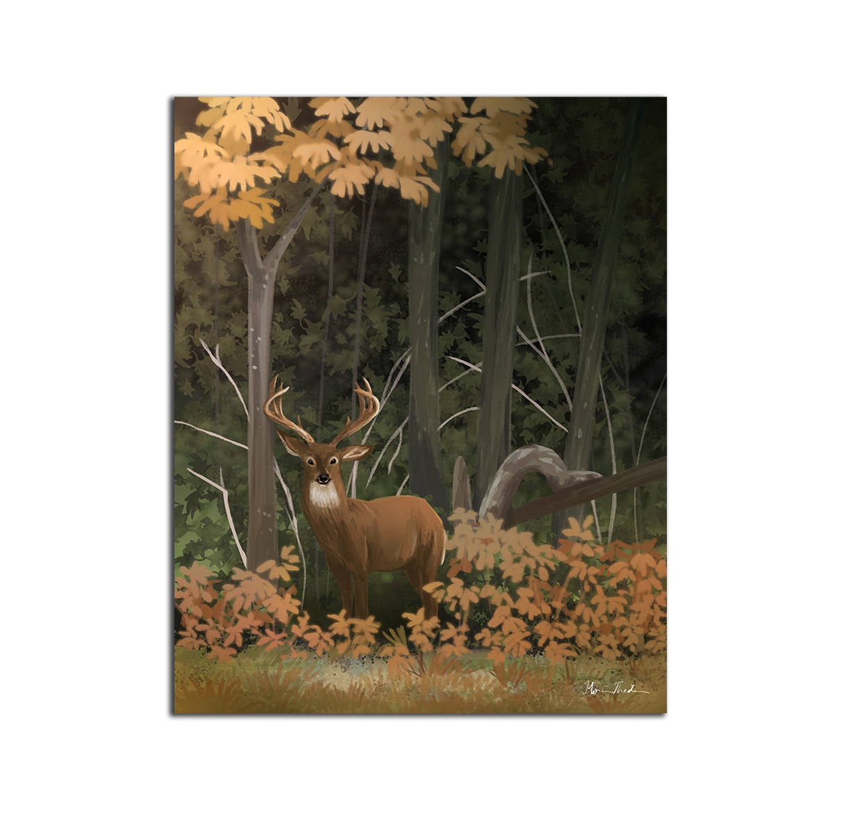 Art Print - "Buck in the Amber Brush" by Monica Theiler