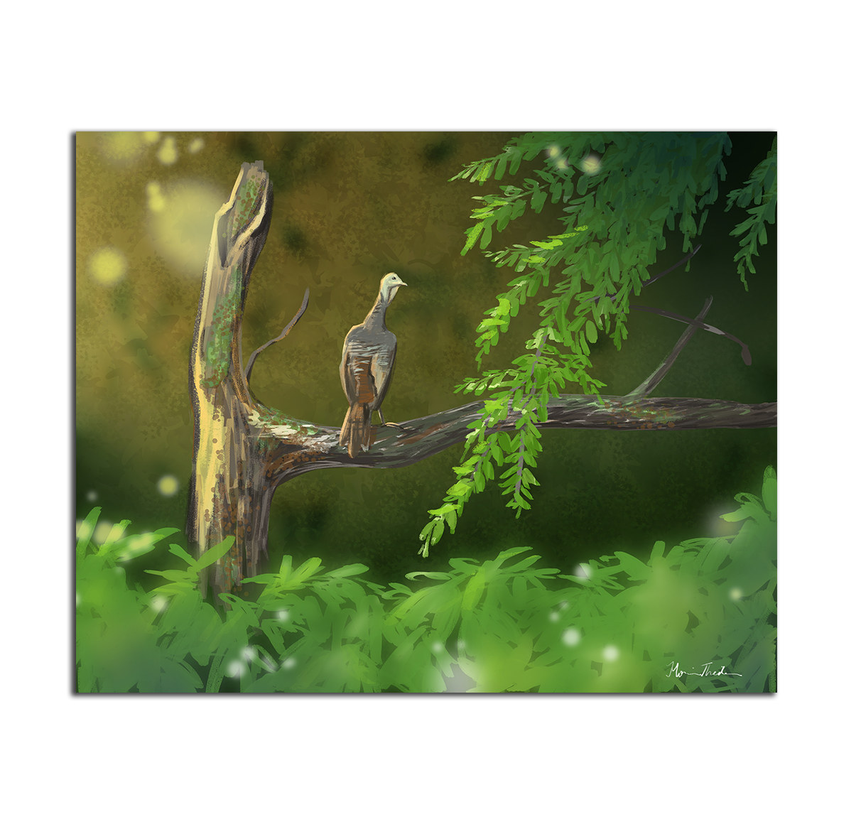 Art Print "Turkey in Spring" by Monica Theiler