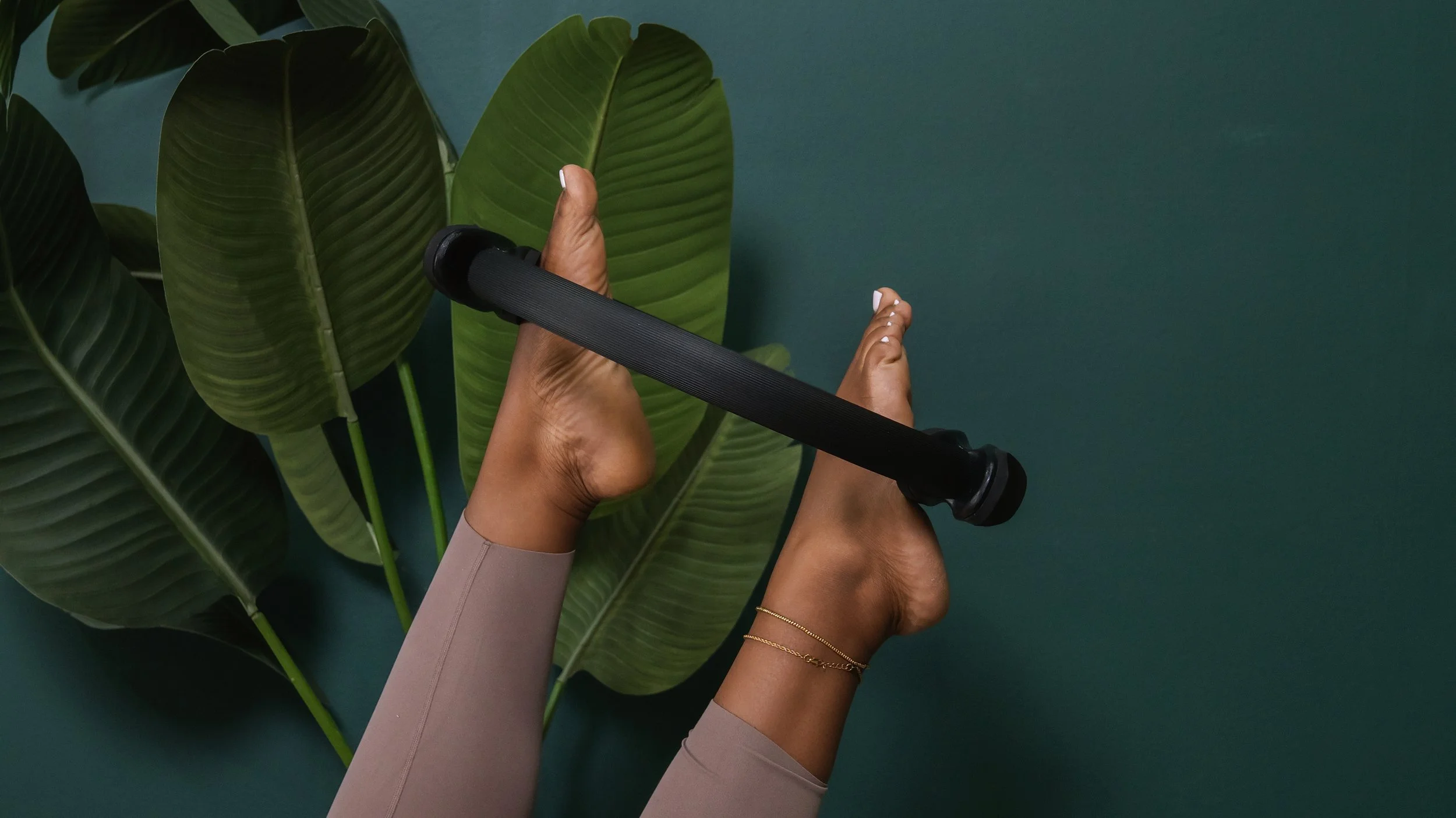 Person holding a black exercise bar while laying on their back next to large green tropical leaves against a teal background.