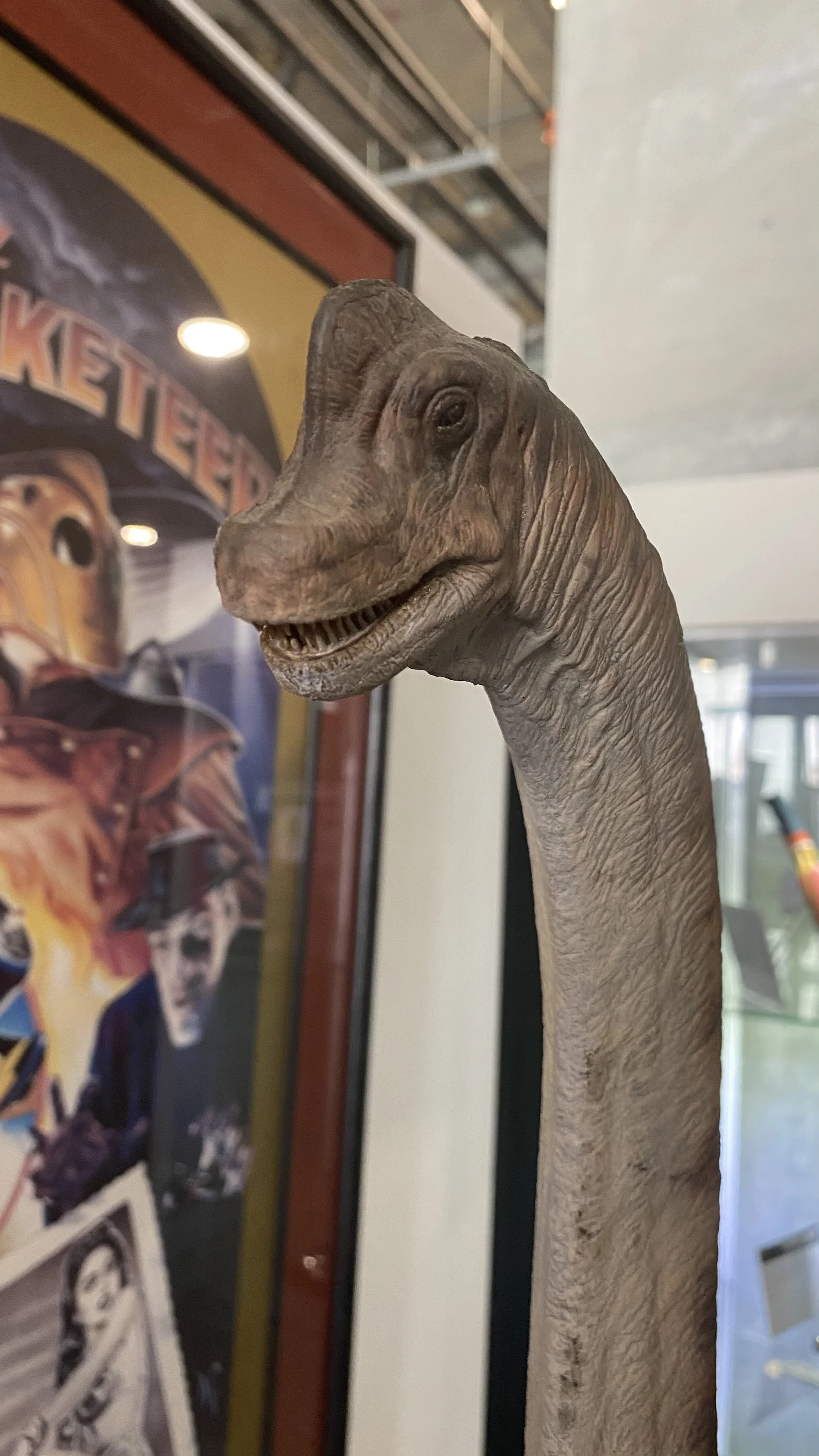 IMG-0791.jpg