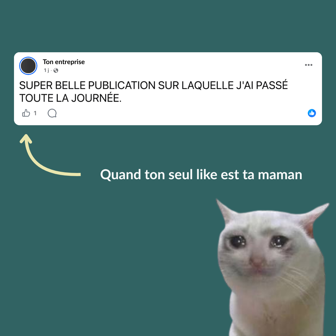 Une publication humoristique avec une citation sur le fait d'avoir passé toute la journée sur une publication, une image de chat avec des yeux larmoyants pour illustrer l'émotion de la mère lorsqu'elle aime la publication de son enfant.