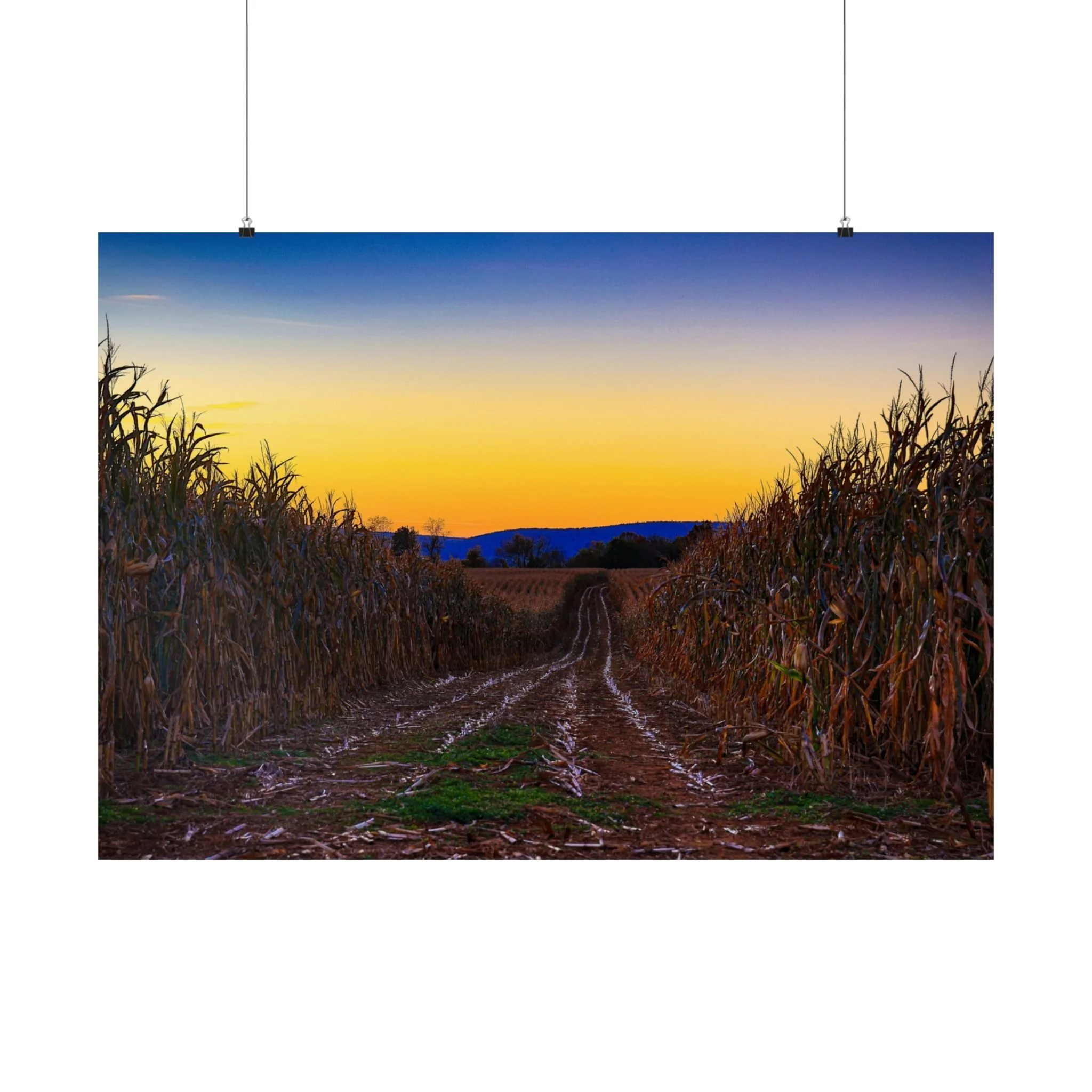 Middletown Maryland Cornfield Sunset Photo Print