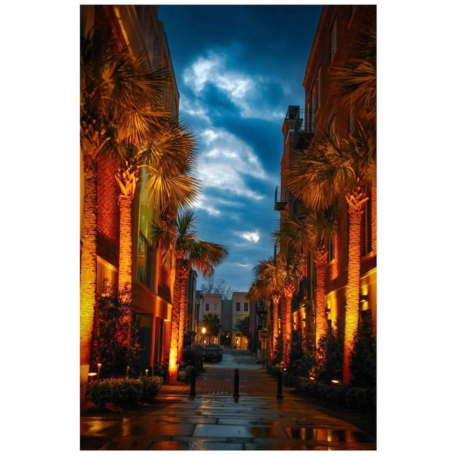 Charleston SC Palmetto Street fine art photography print by Whysall World, 300 DPI high resolution wall decor on 300 GSM archival paper