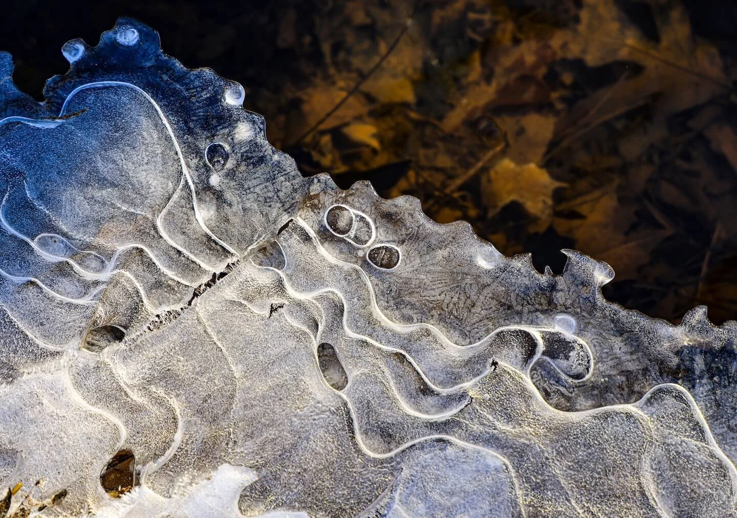 mini-ice-in-winter.jpg