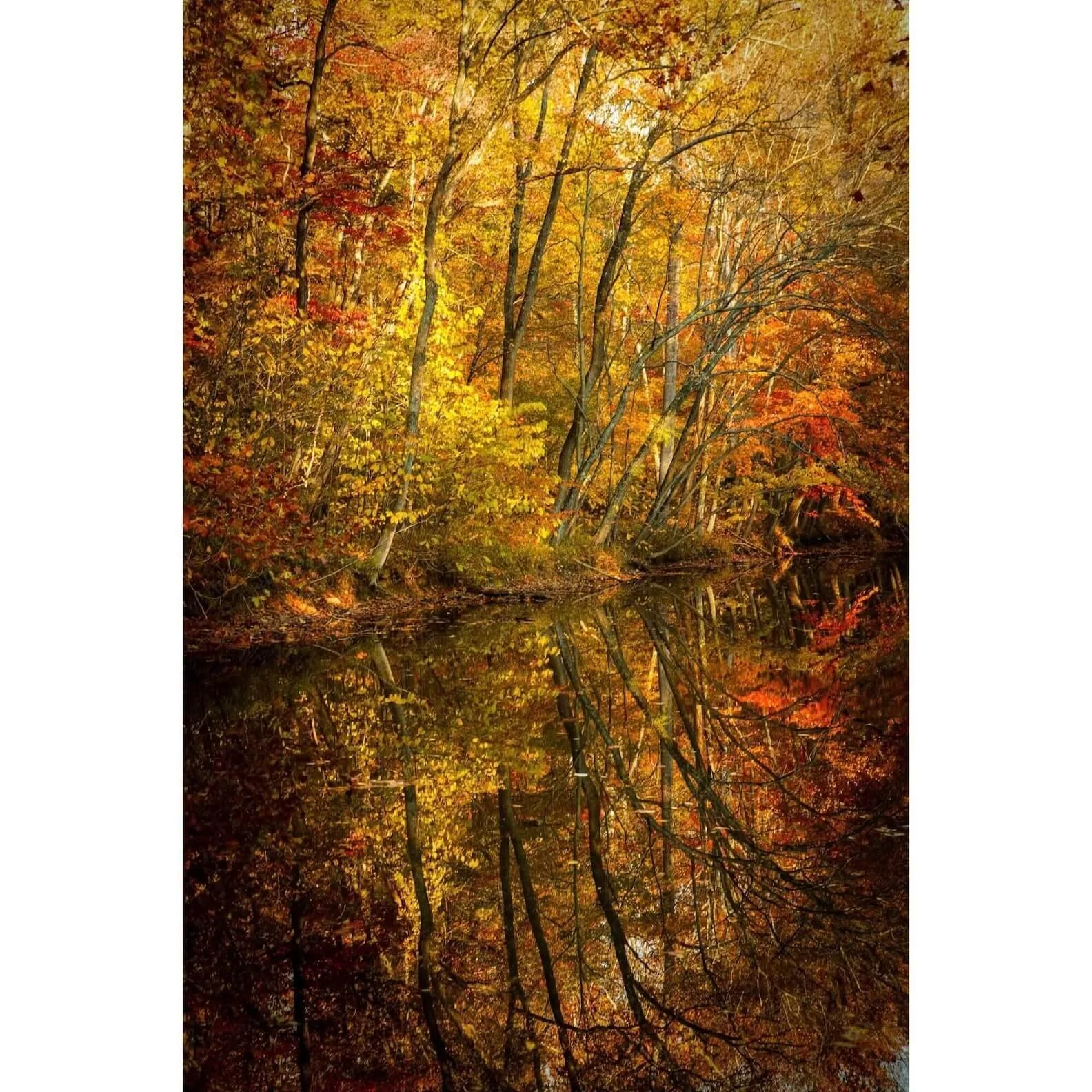 "Autumn Symmetry" – Great Falls Virginia Fine Art Print