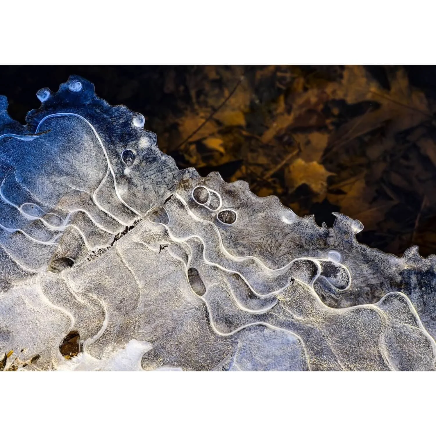 "Glacial Veins" Abstract Ice Macro Fine Art Print – 300 GSM Premium Satin Paper