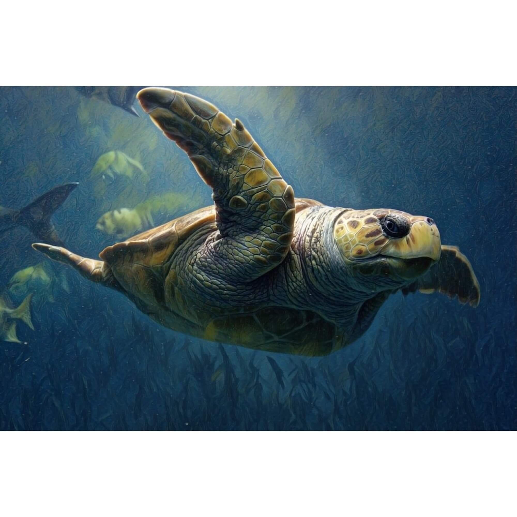 "Gliding Through the Shallows" – Virginia Beach Loggerhead Sea Turtle Stretched Gallery Canvas