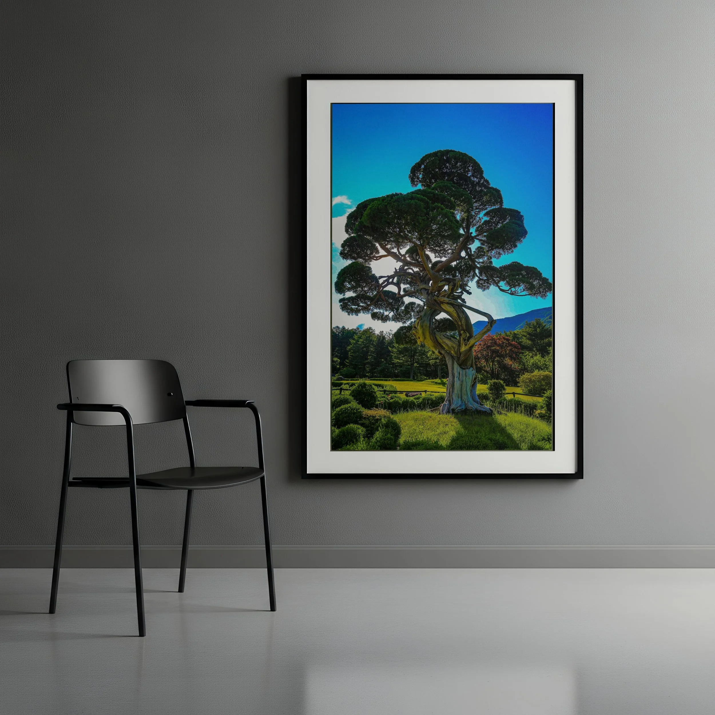 korean-tree-frme.jpg