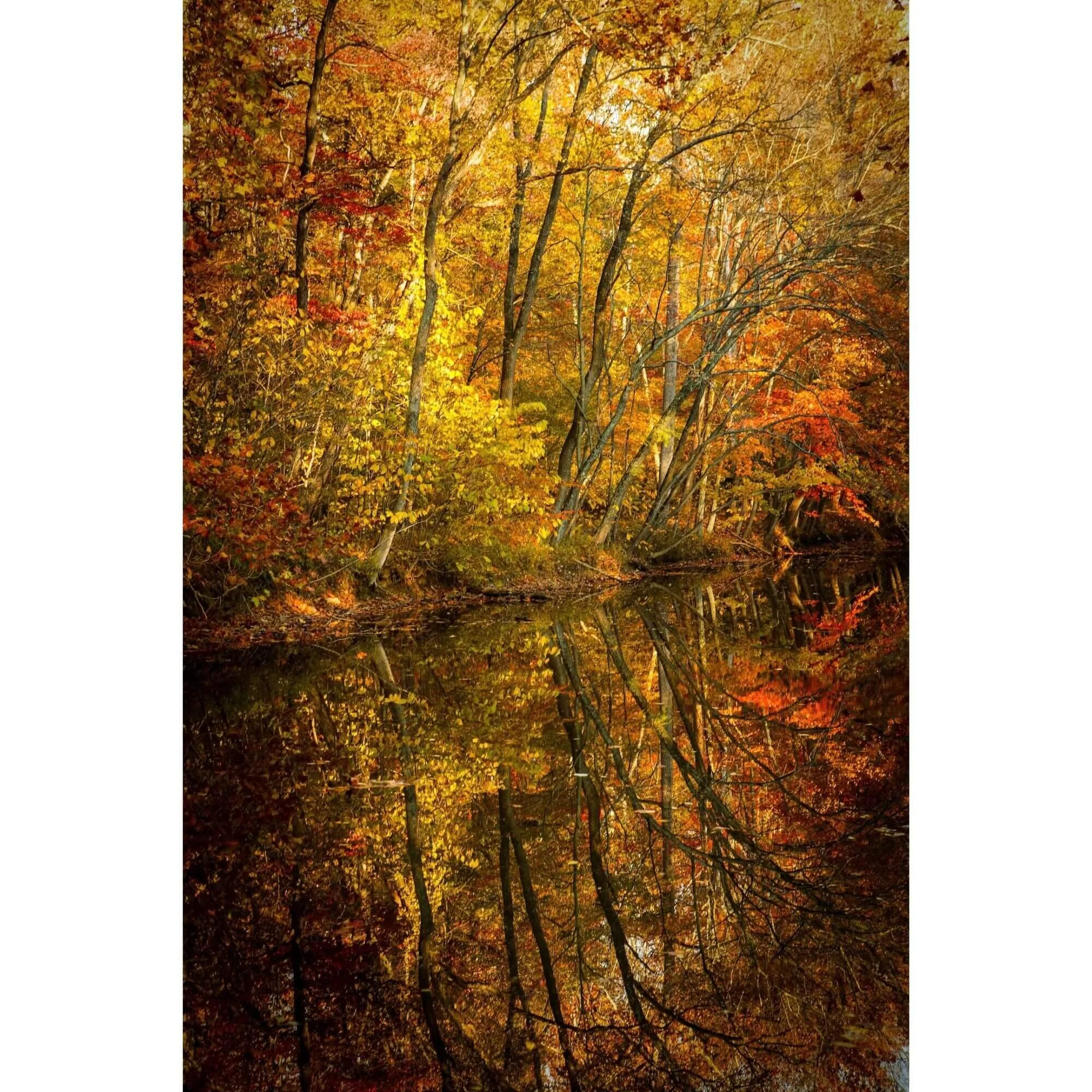 Great Falls Virginia Autumn Fine Art Print