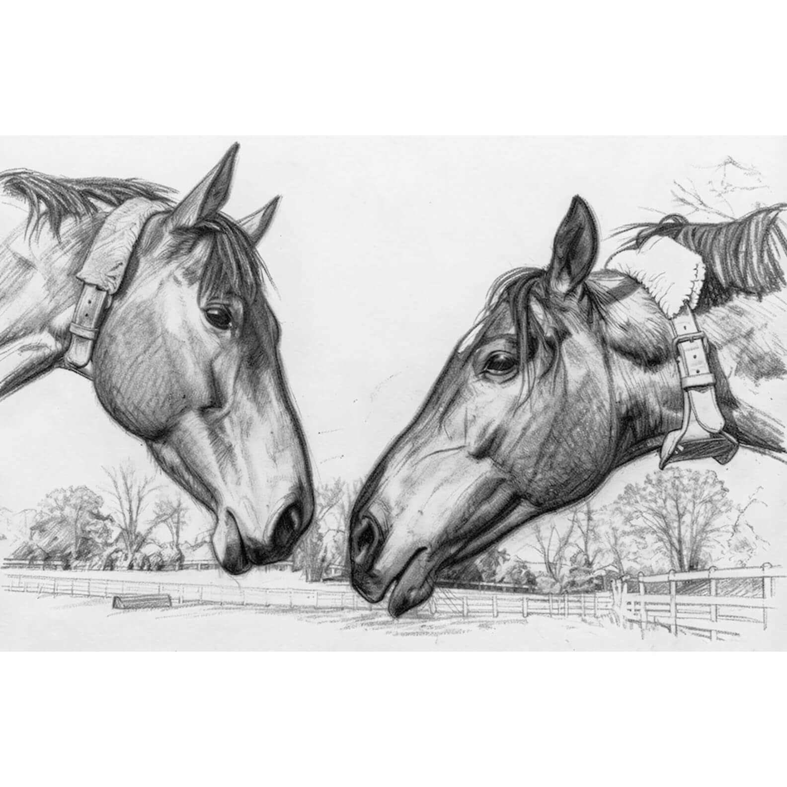 Two Horses Charcoal Sketch Shepherdstown WV Fine Art Canvas Gallery Wrap
