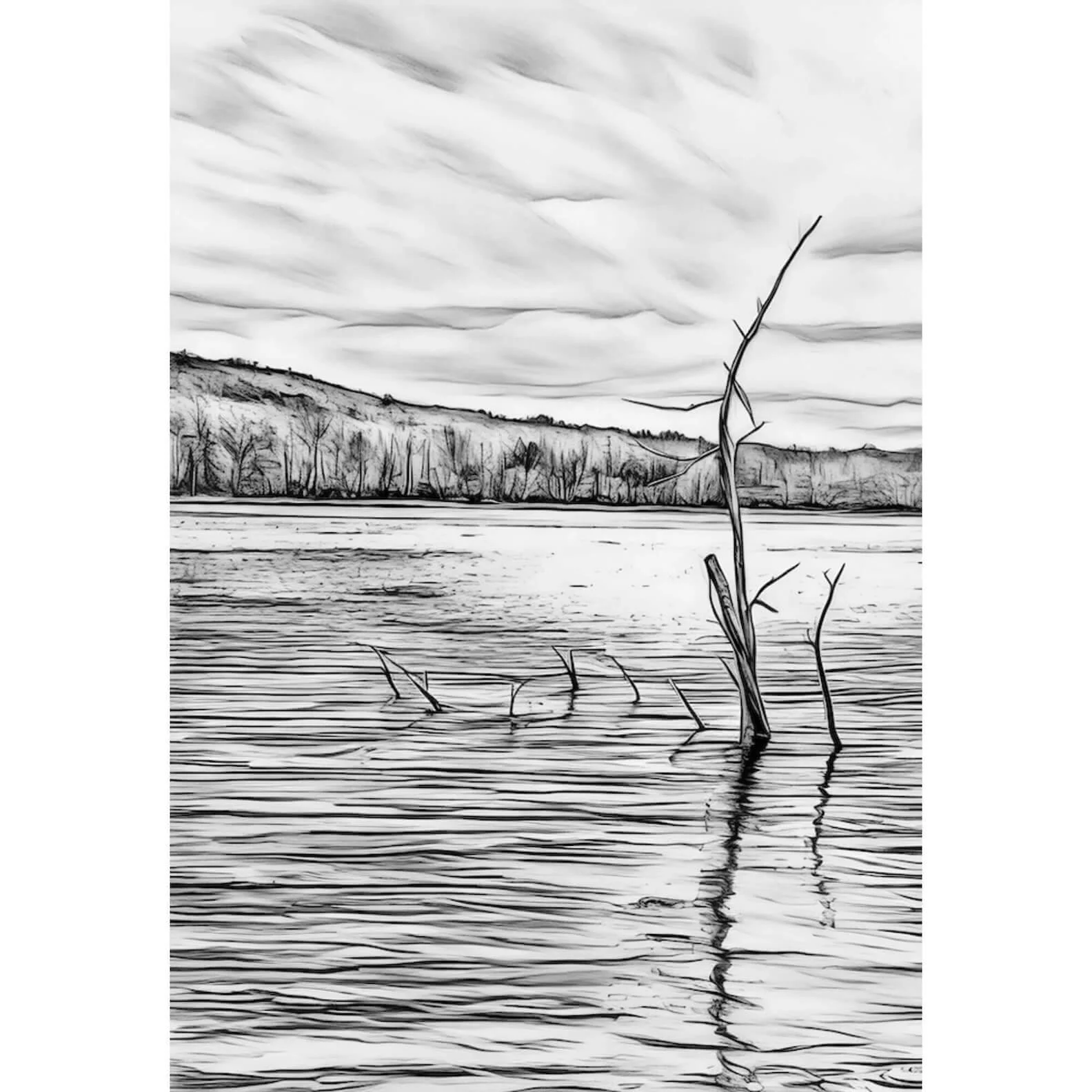 Lone Reflection — Potomac River, Brunswick, Maryland Fine Art Print