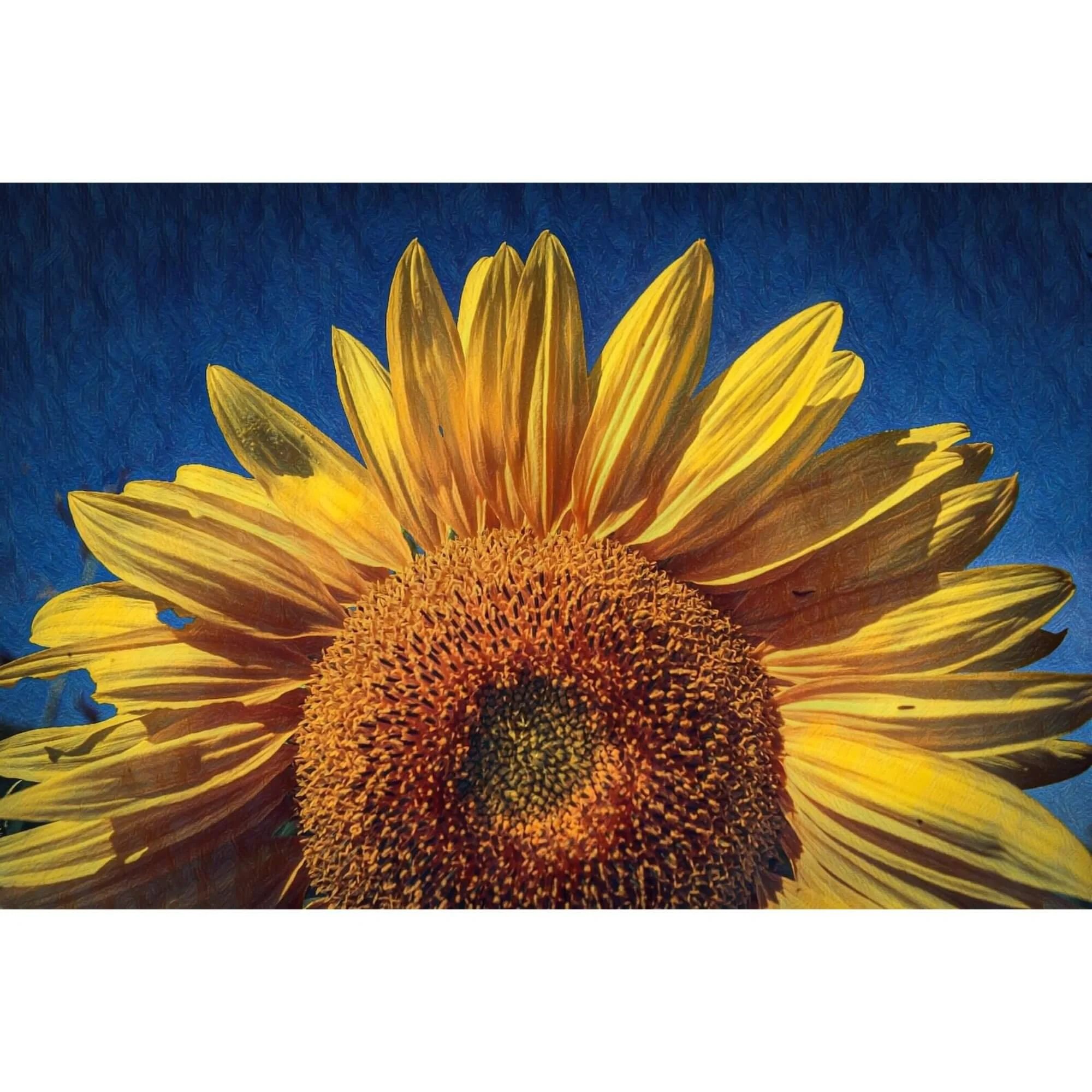 Van Gogh Style Sunflower Wall Art, Impressionist Sunflower Canvas Print,