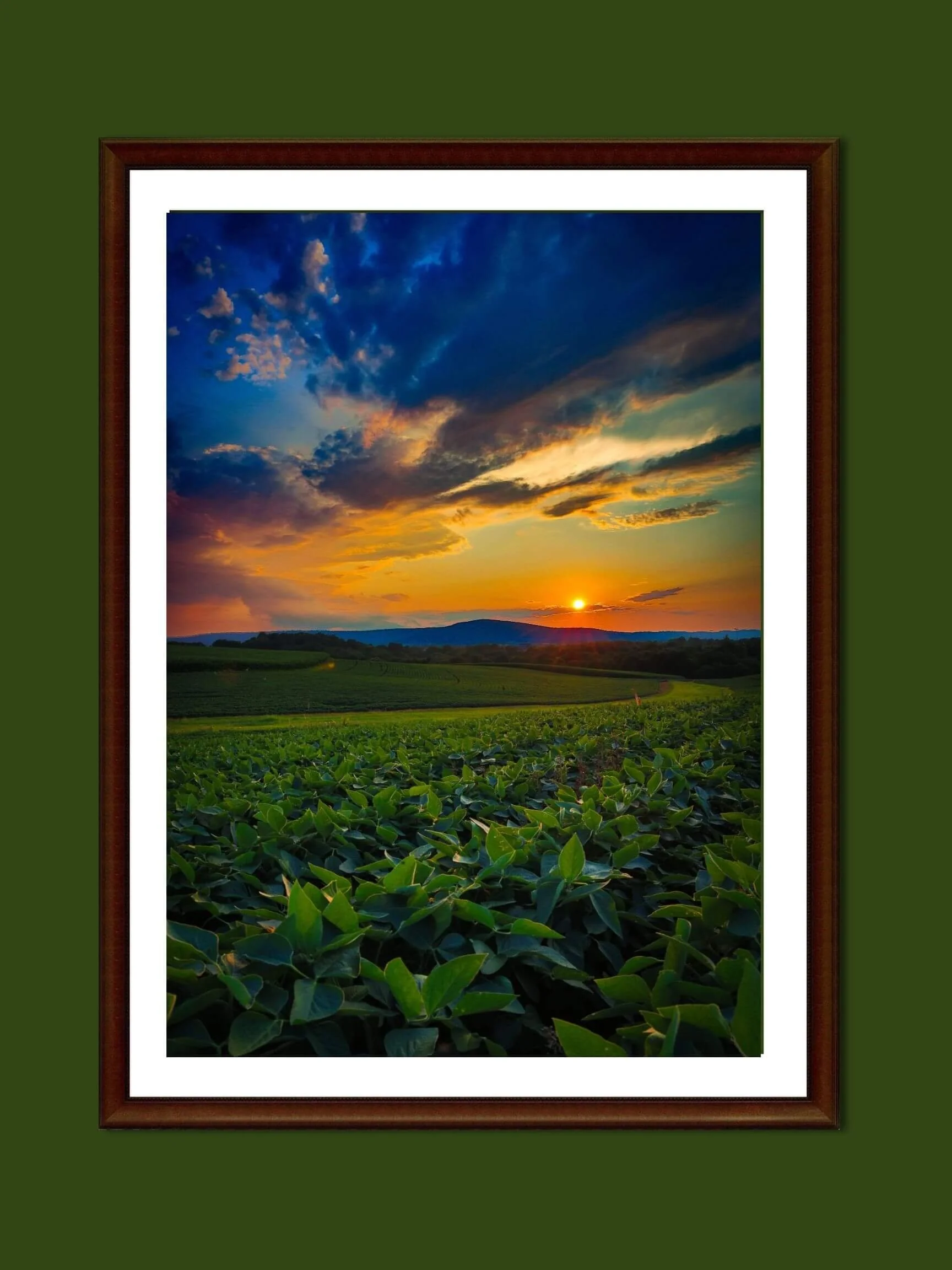 crops-green-border.jpg