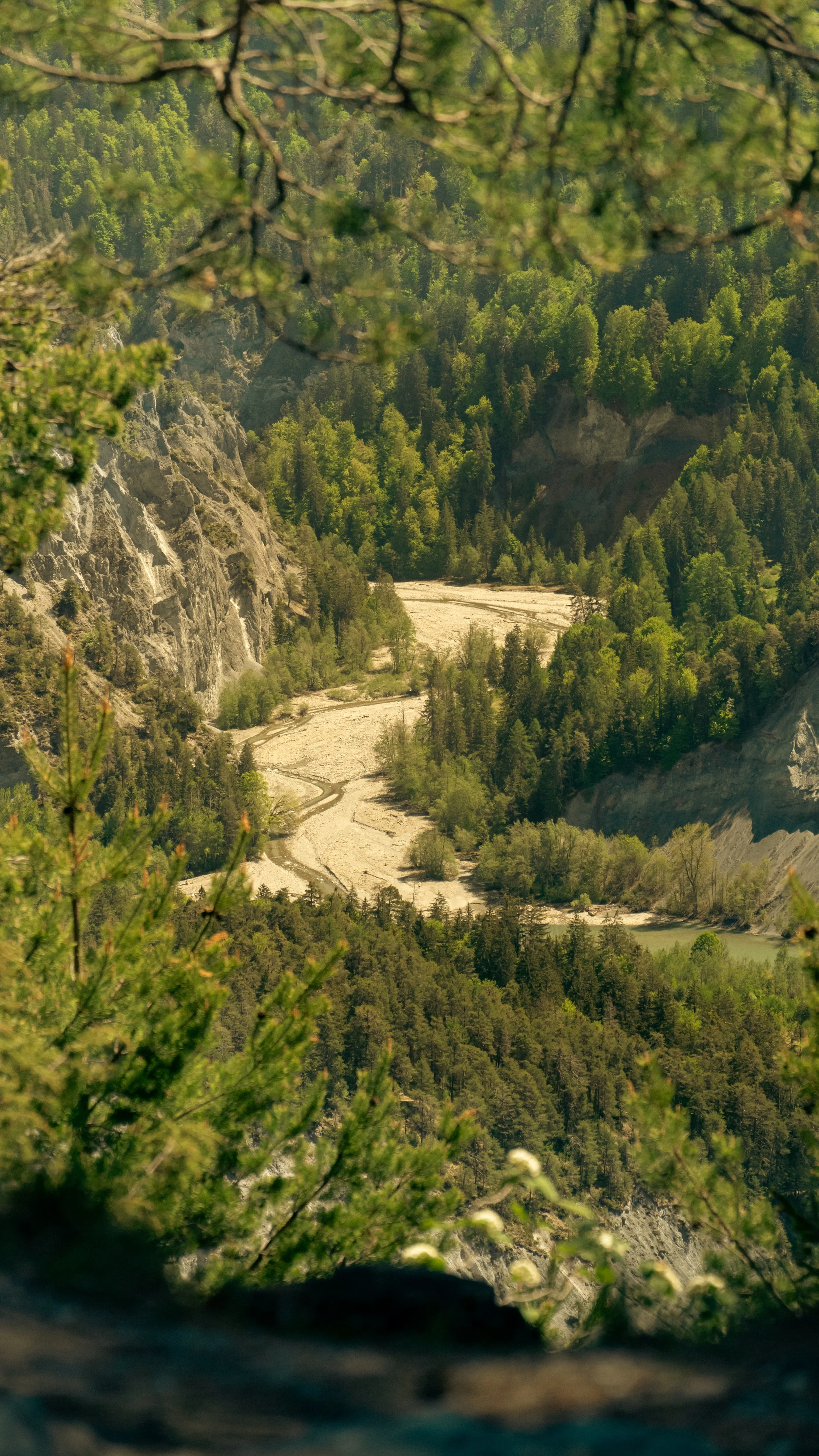 _DSC3453.jpg