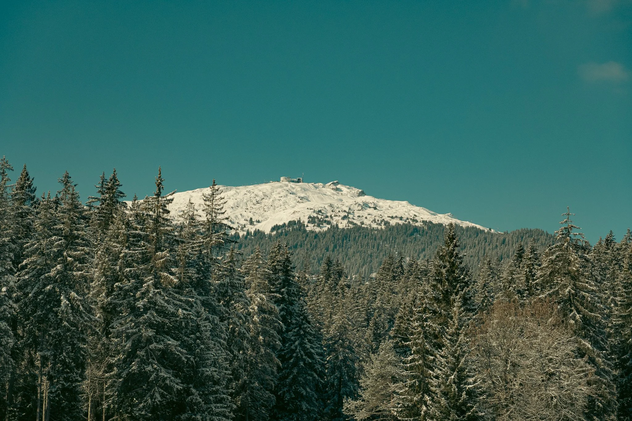 _DSC2678.jpg