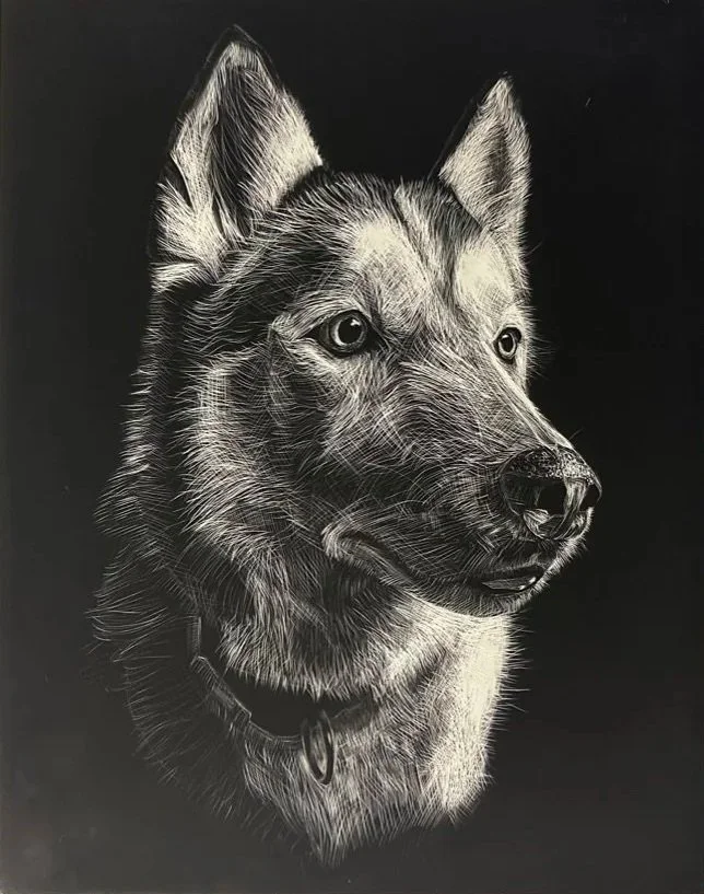 Black and white realistic drawing of a German Shepherd dog with detailed fur and expressive eyes, set against a dark background.
