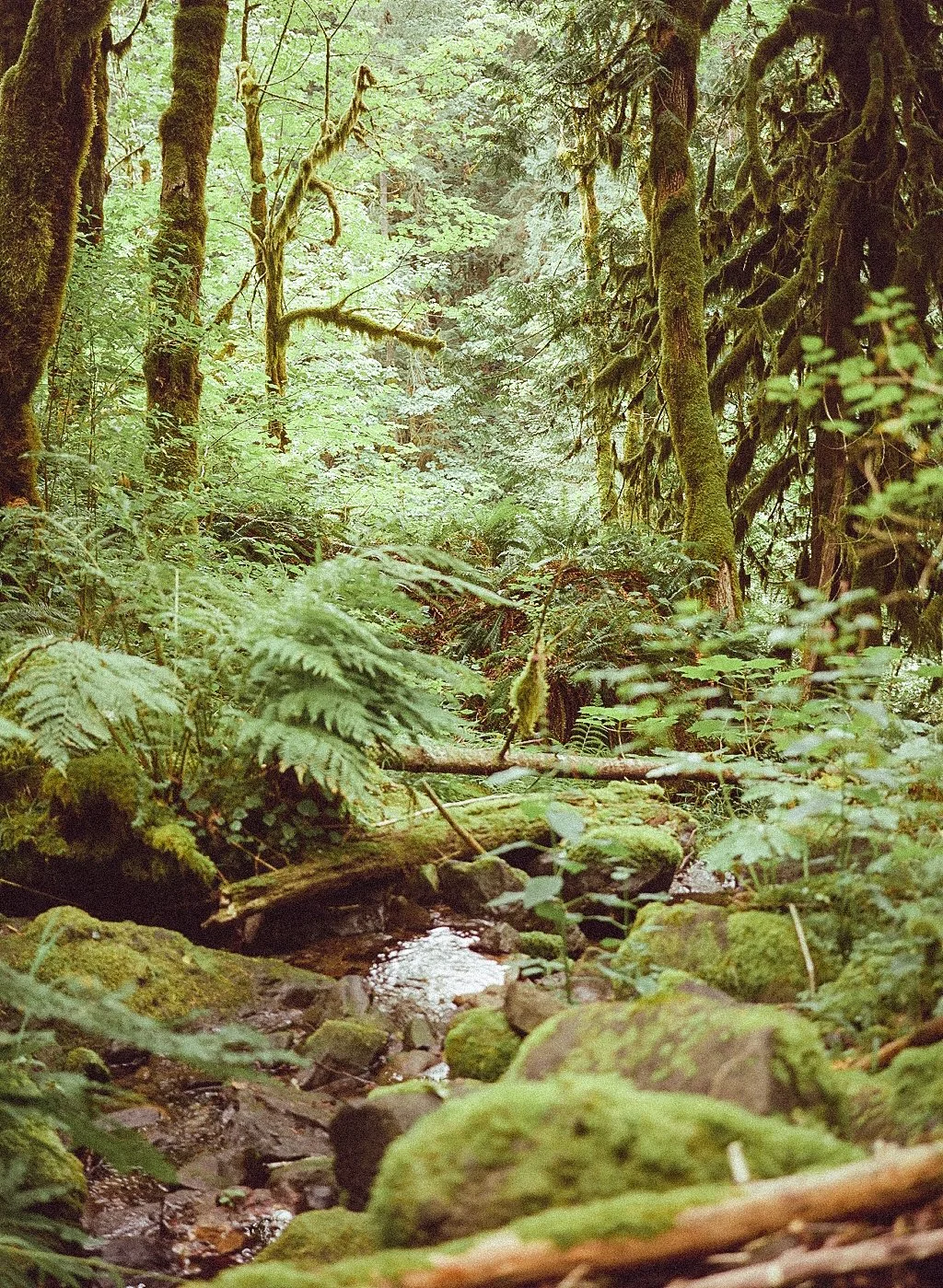 000063670009.jpg