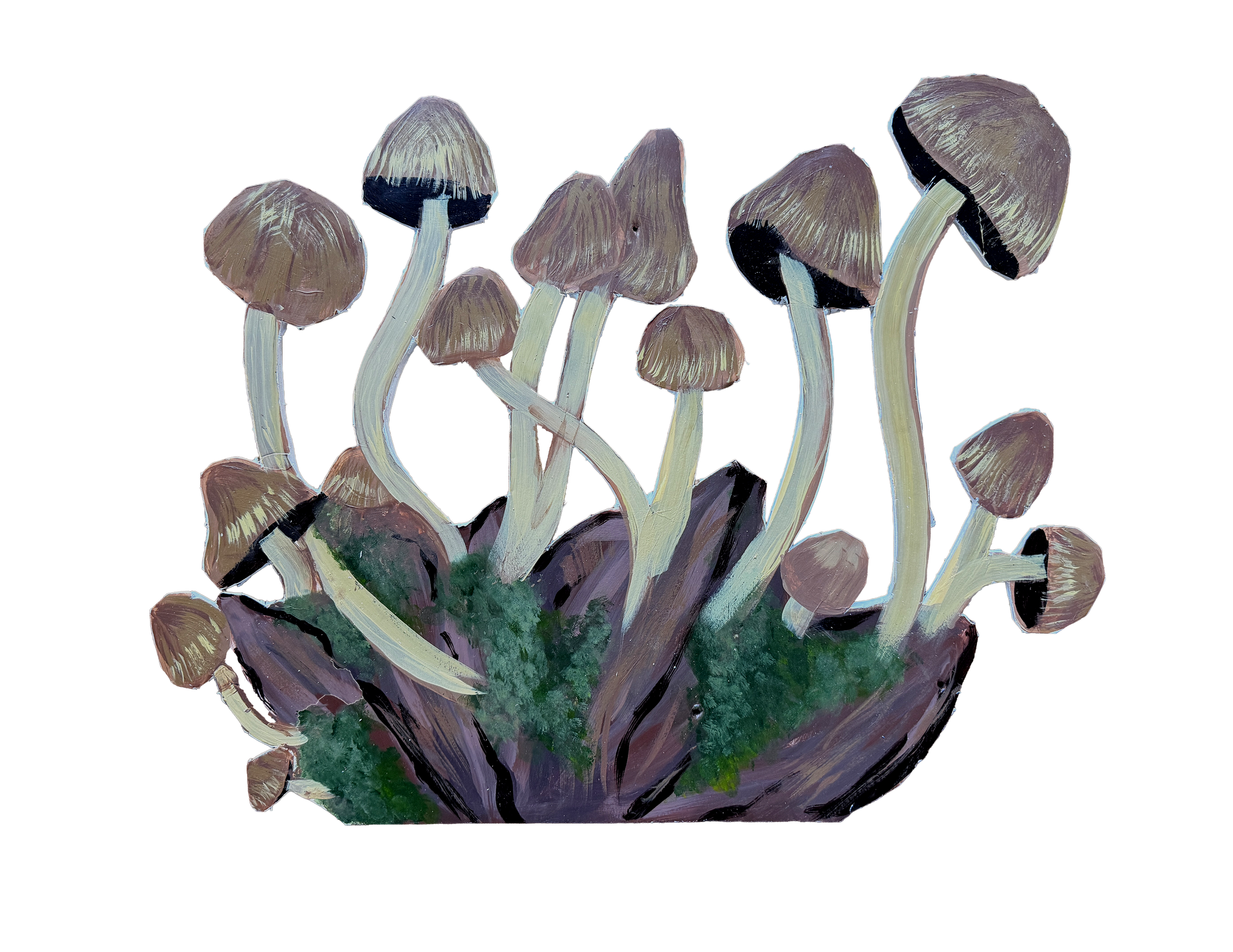 Mushrooms.png