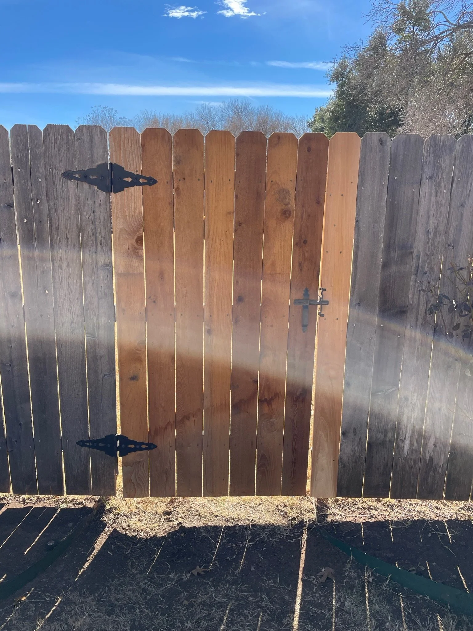 A wooden gate made of vertical planks, with a black decorative hinge and latch, set against a background of bare trees and a blue sky.