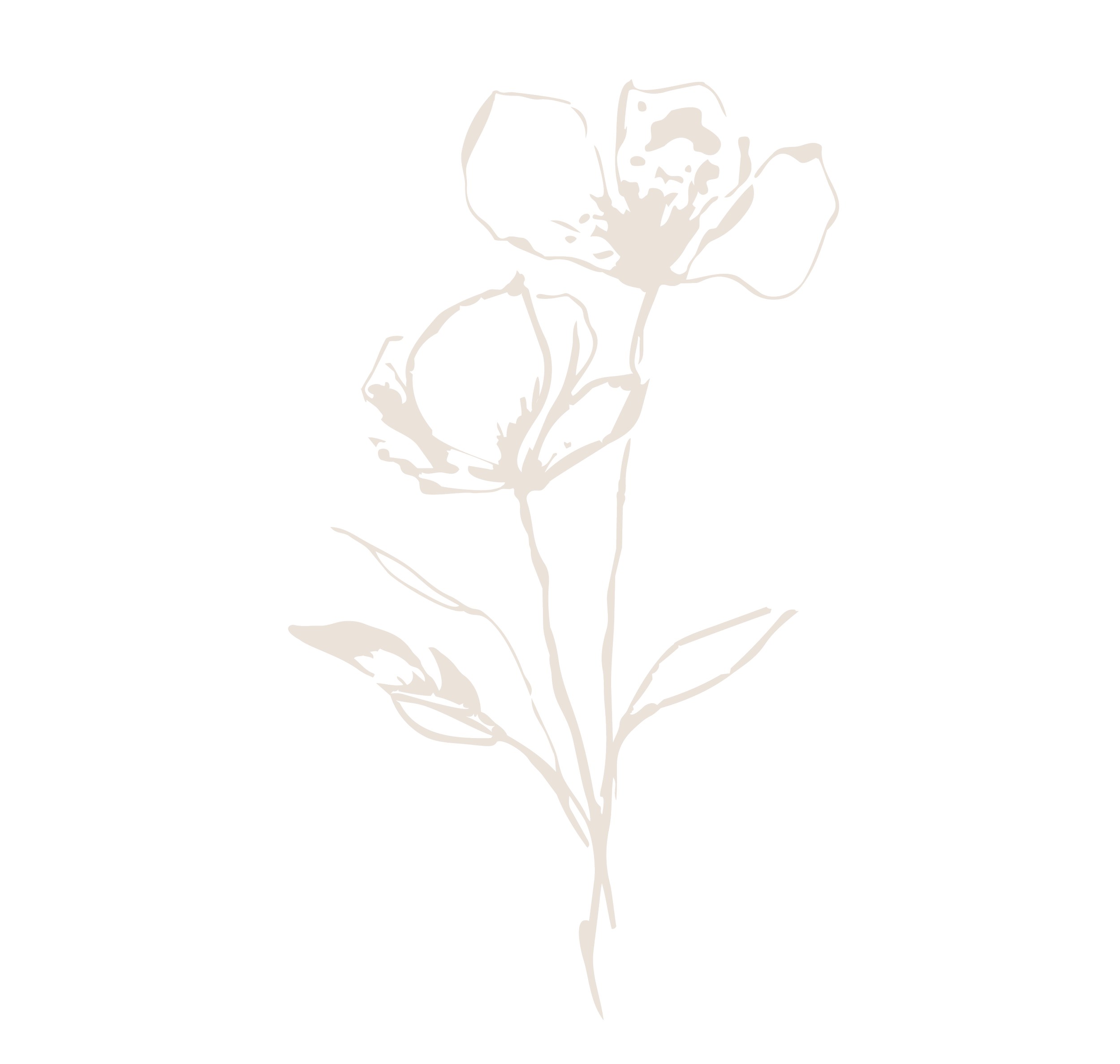 Line drawing of a rose with detailed petals and leaves, black background.