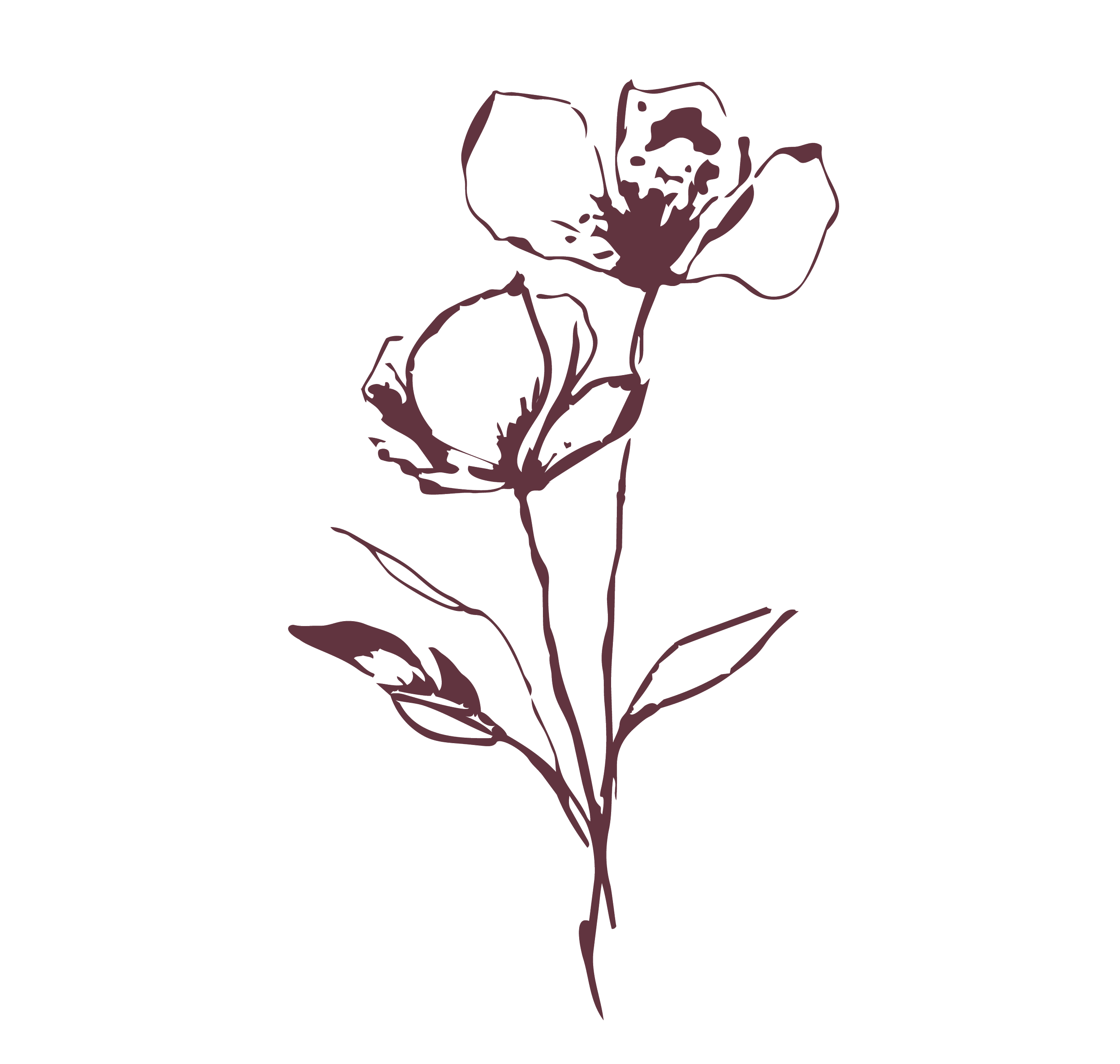 Simple line drawing of a flower in dark purple color on a black background.