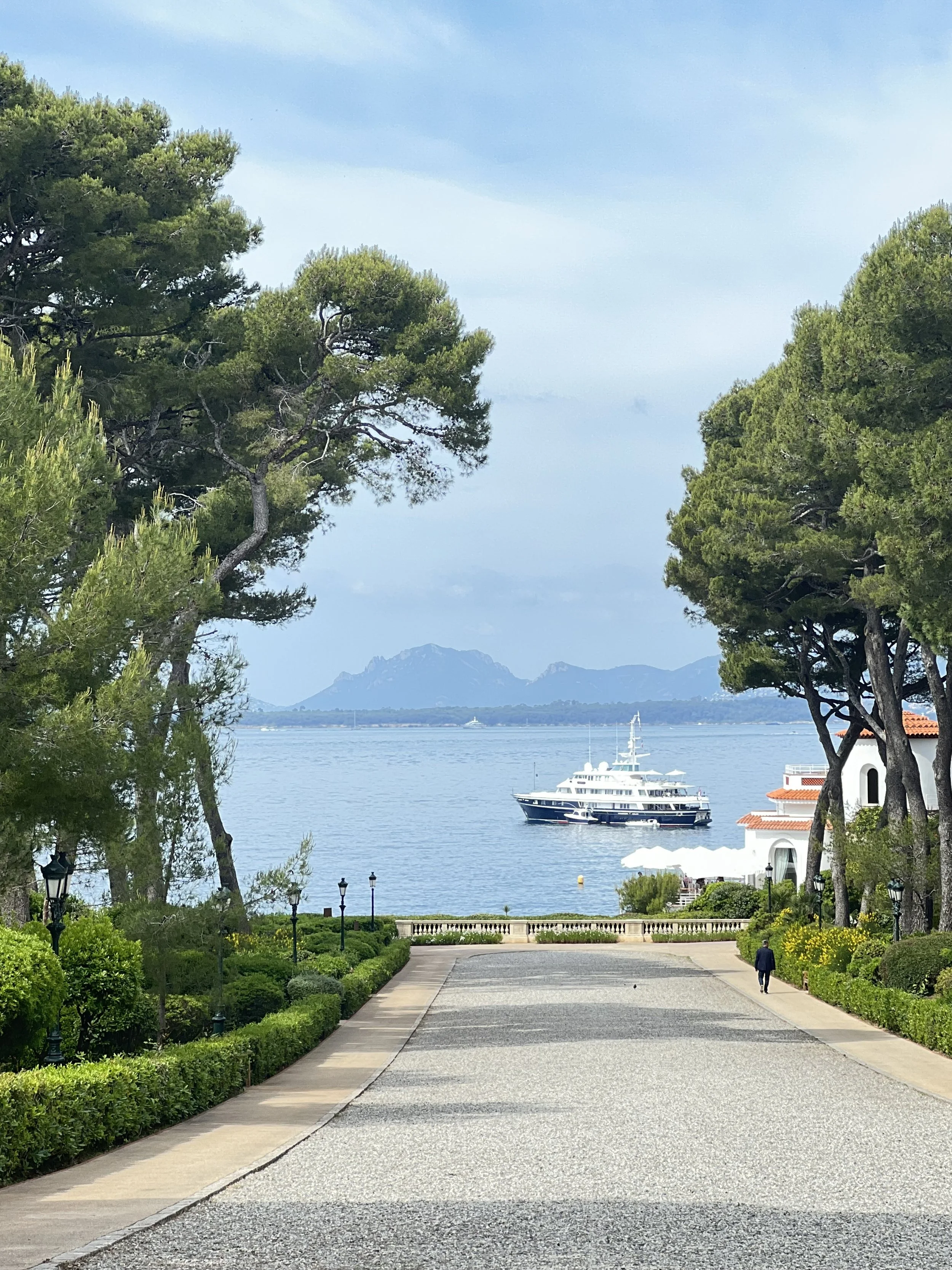 Mediterranean pines framing a yacht-lined bay below a hotel garden path