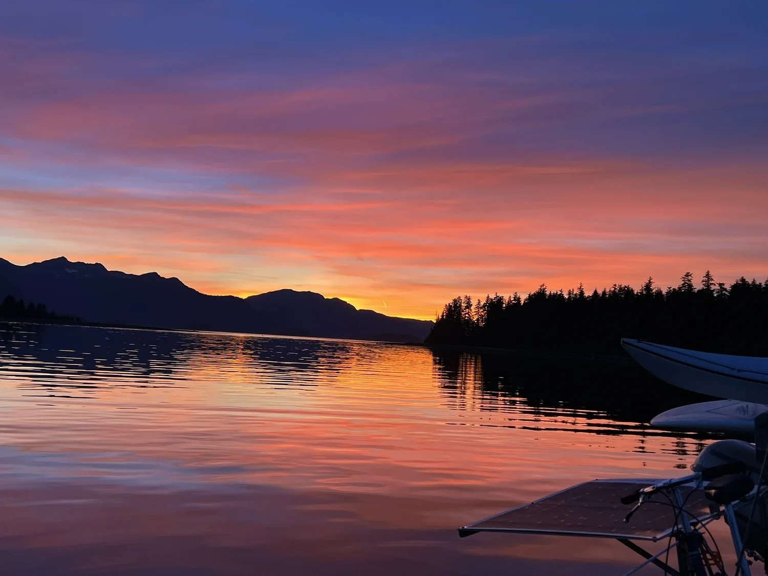 Salty & Thriving sunset image