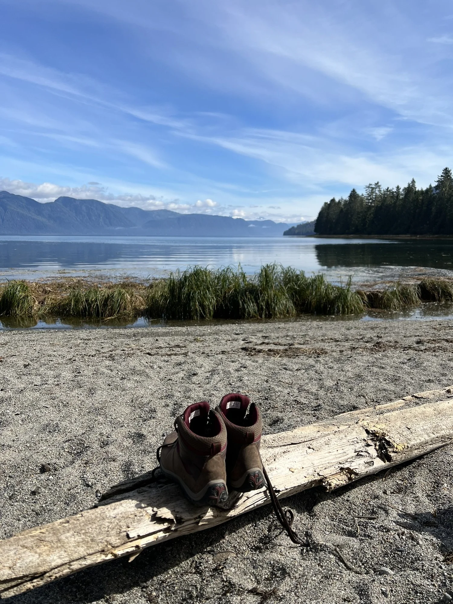 Salty & Thriving adventure image 2