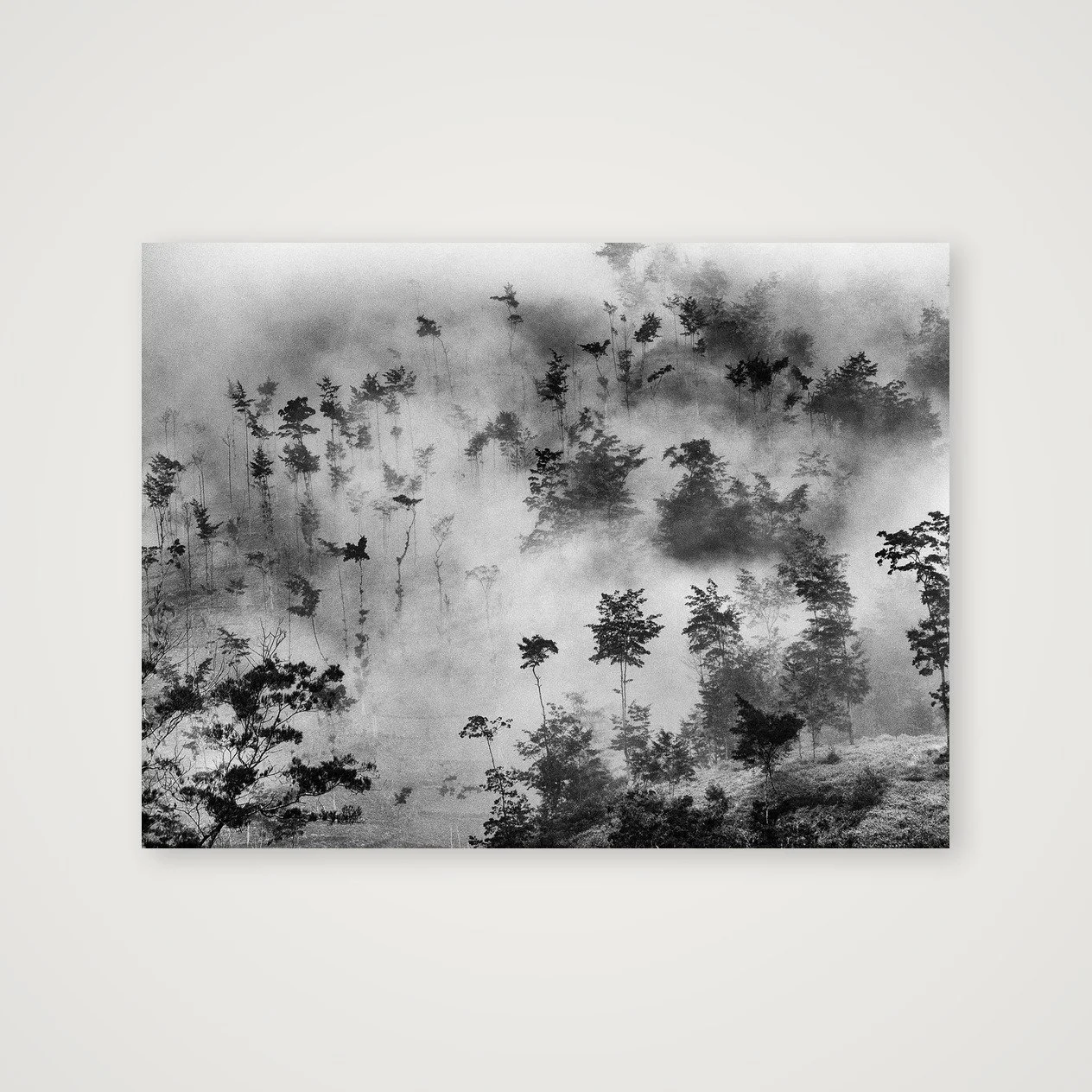 shot_table_a6900aec_cdb15fce.jpg