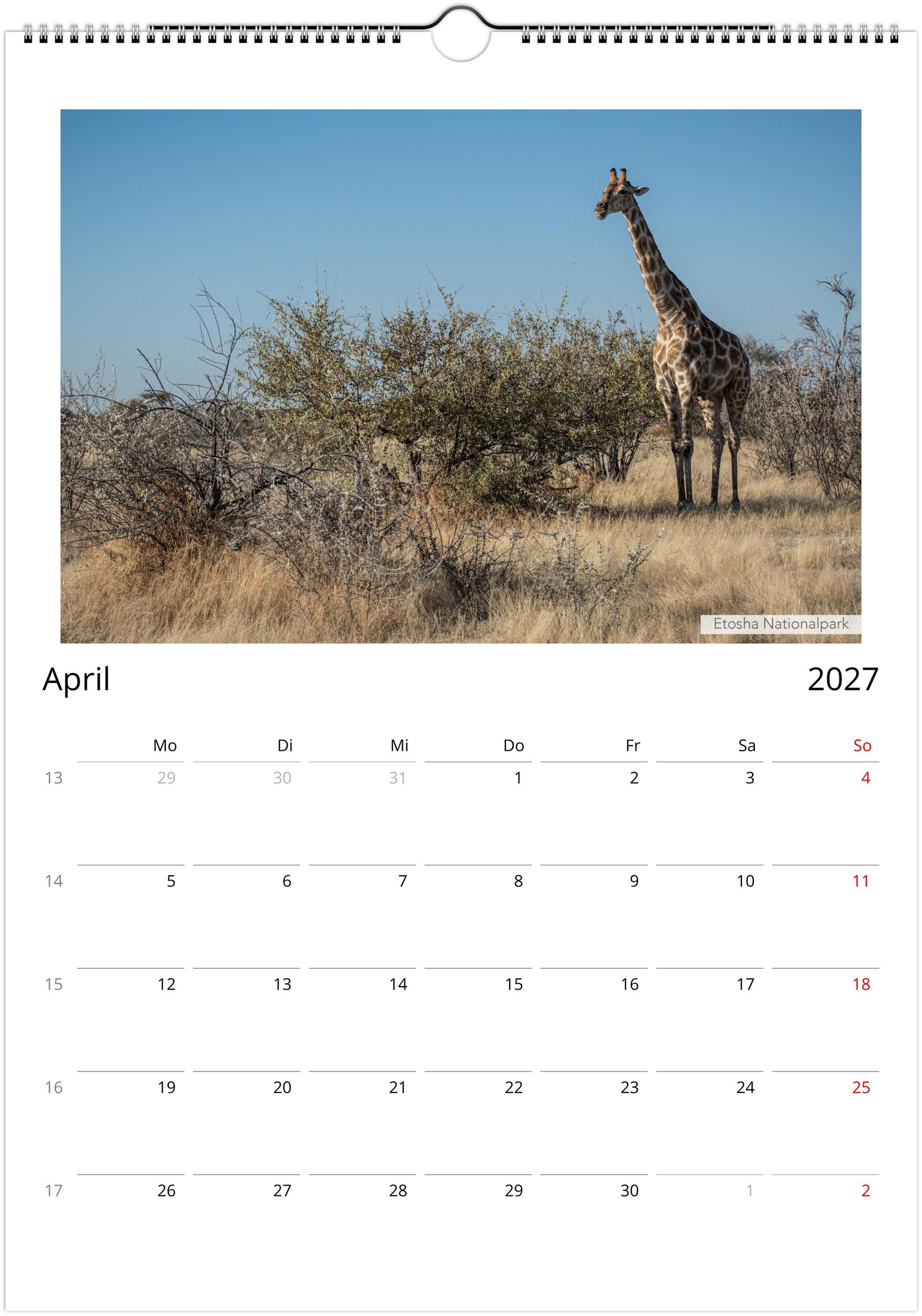 month-4.jpeg