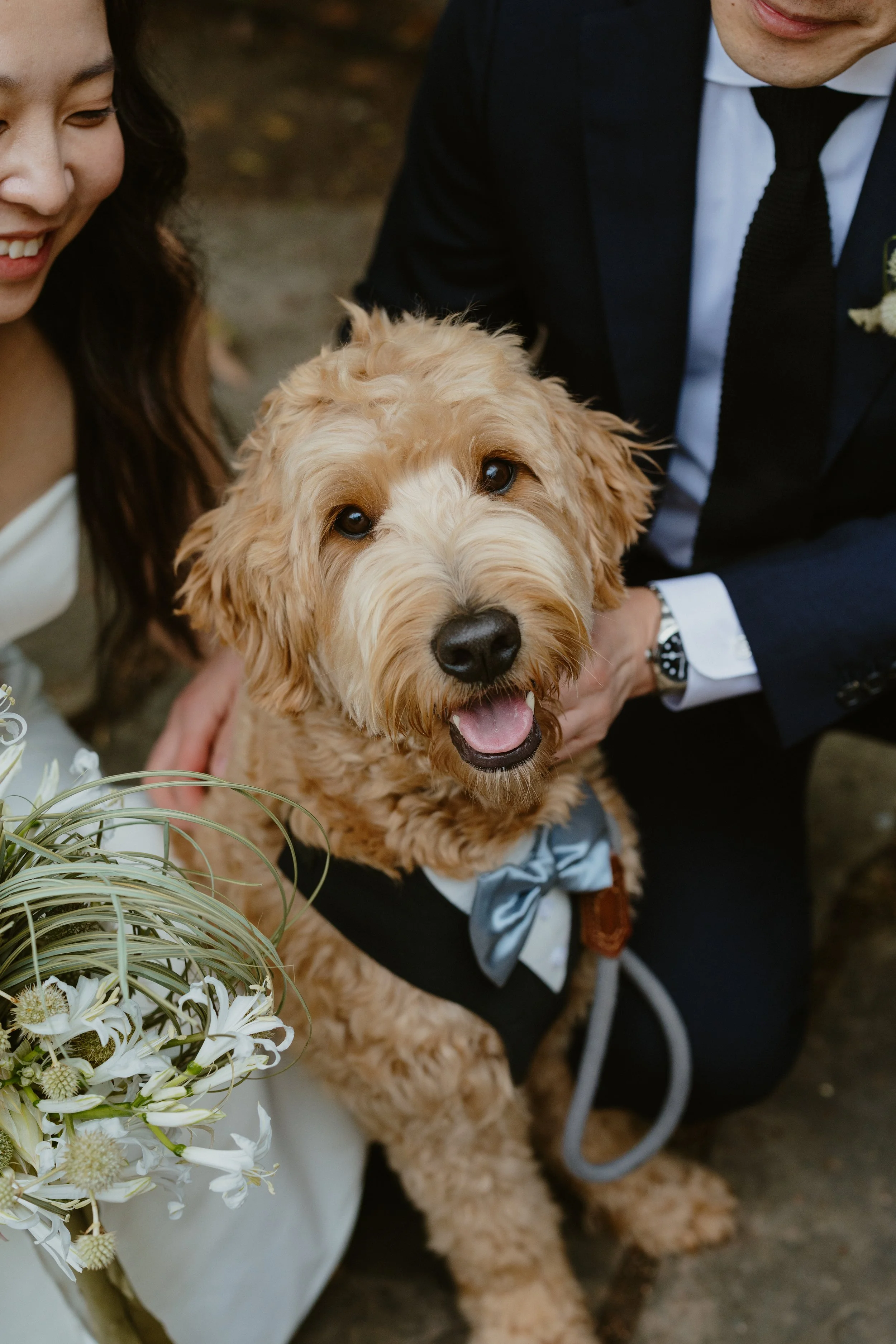 mount-tamalpais-intimate-wedding.jpg