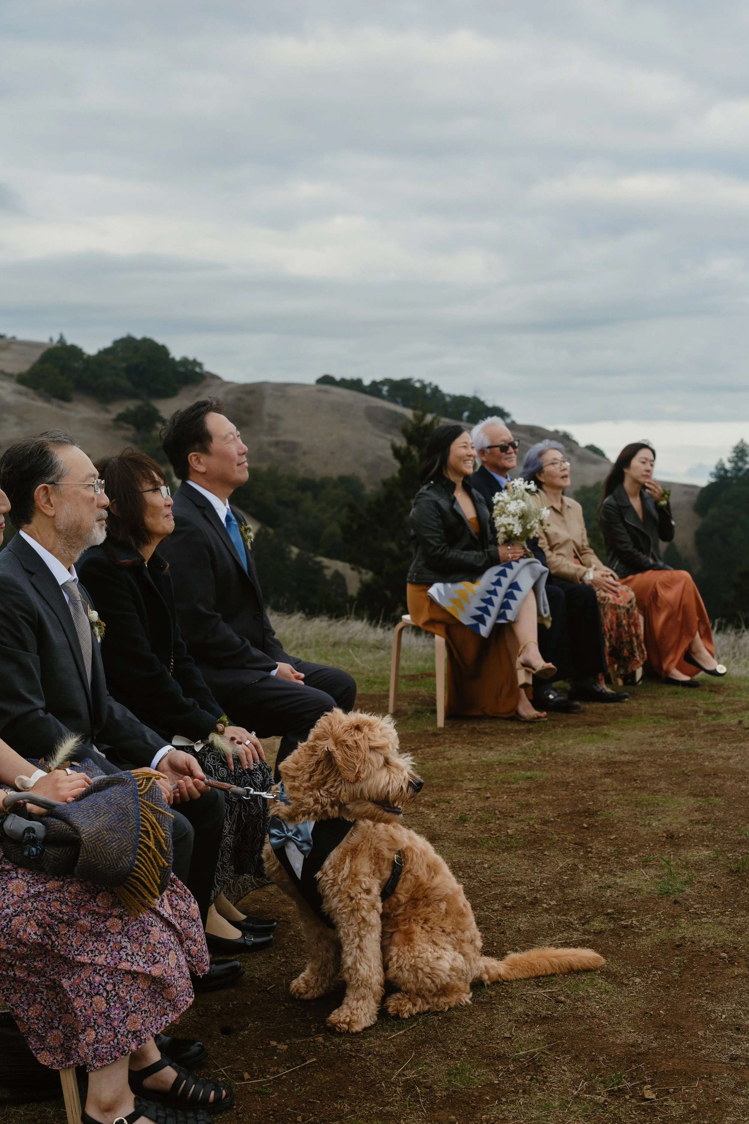 mount-tamalpais-wedding-ceremony.jpg