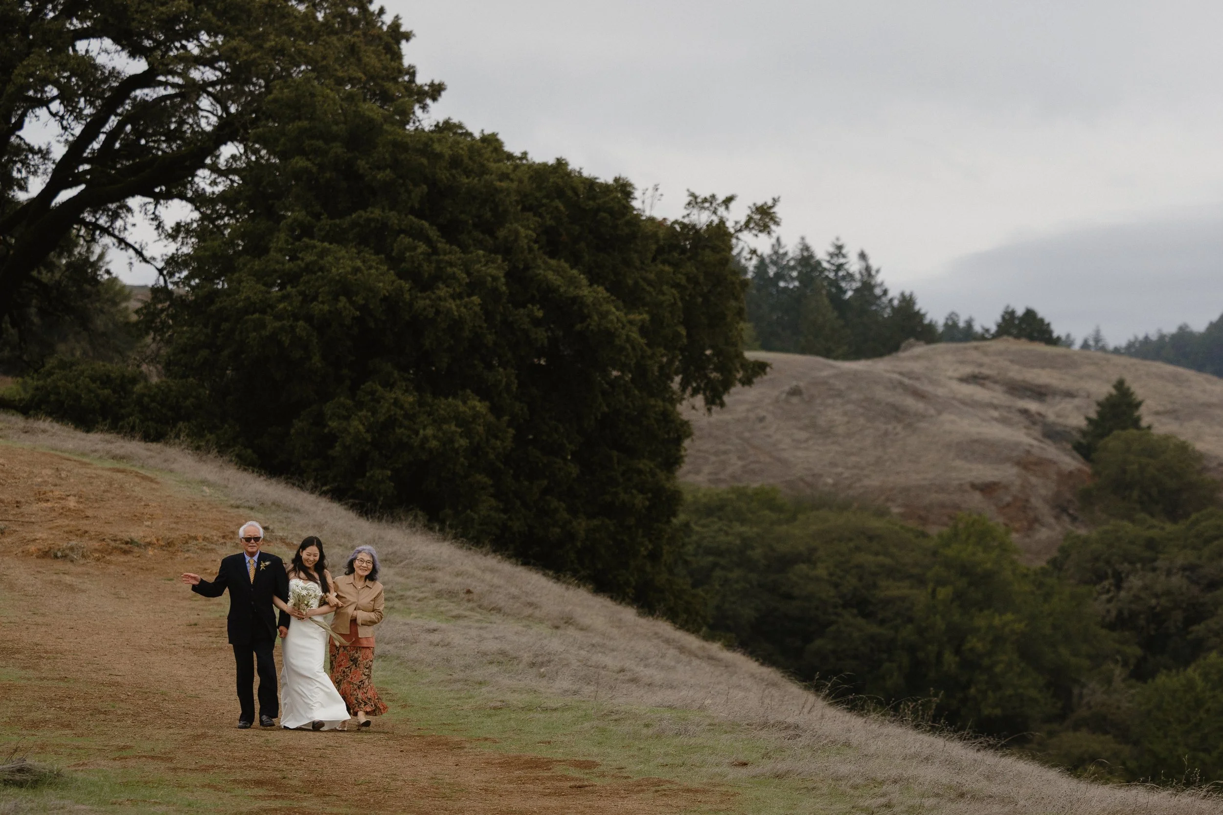 mount-tamalpais-wedding-ceremony.jpg